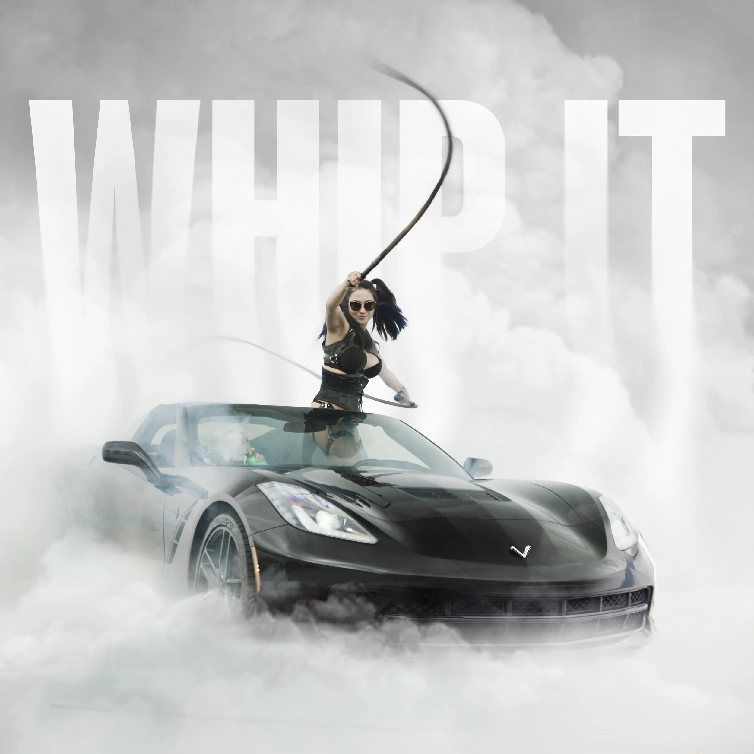 Whip It Album Art.jpeg