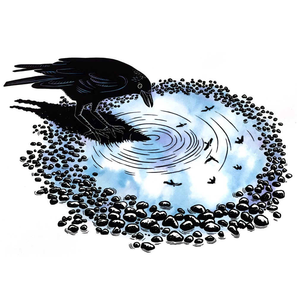 Crow Friends