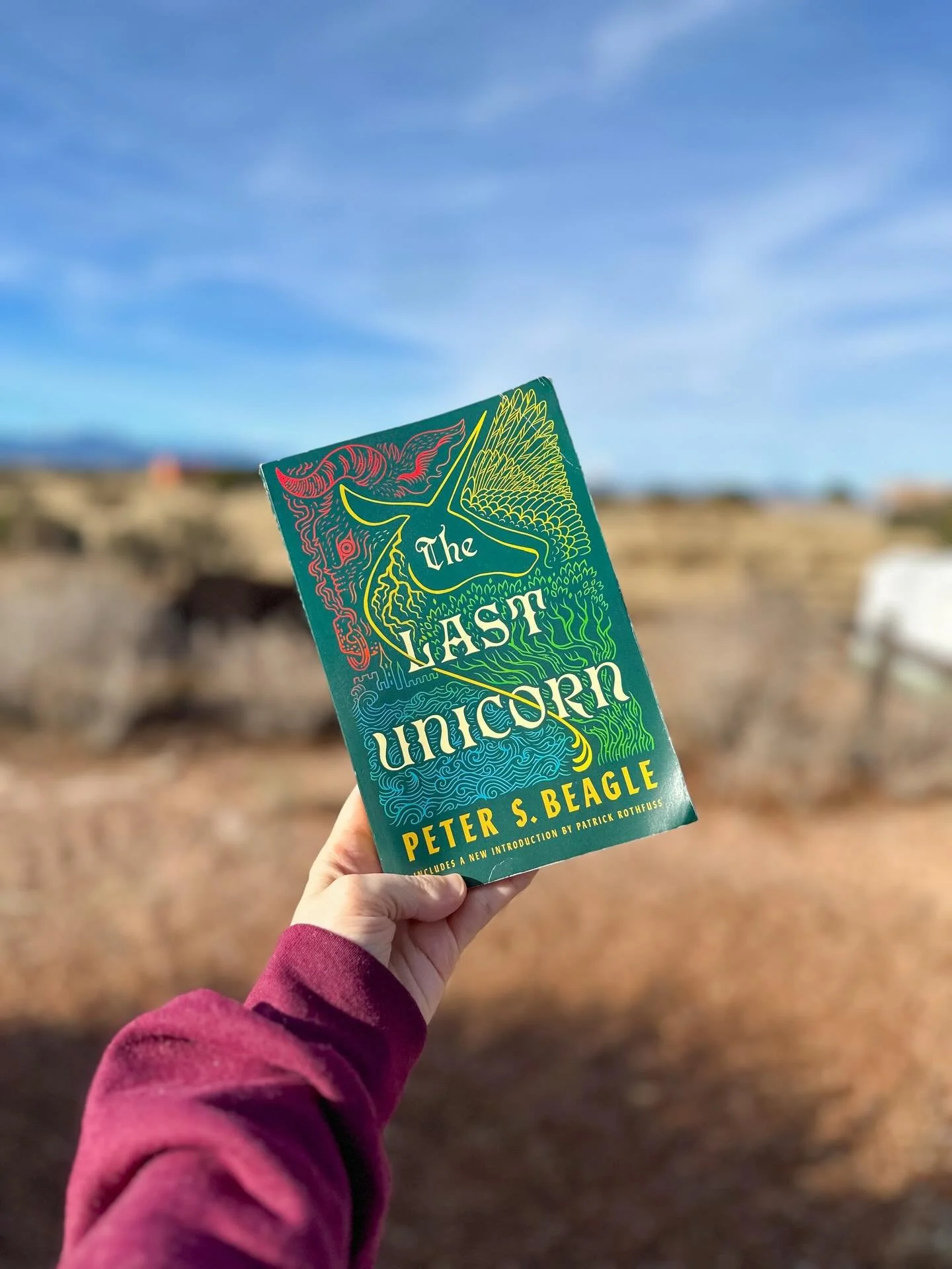 When I was in sixth grade, my homeroom teacher at my performing arts middle school, Mr. Brown, told us we would be putting on a production of The Last Unicorn. This was a passion project of his; he adapted the script from the book himself. My classma