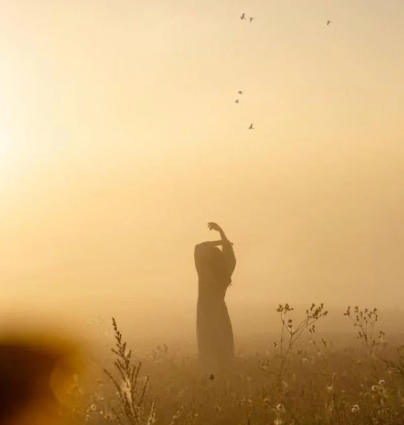 Woman standing quietly in a sunlit field at golden hour, reflecting why fall transitions can feel harder than you expected.