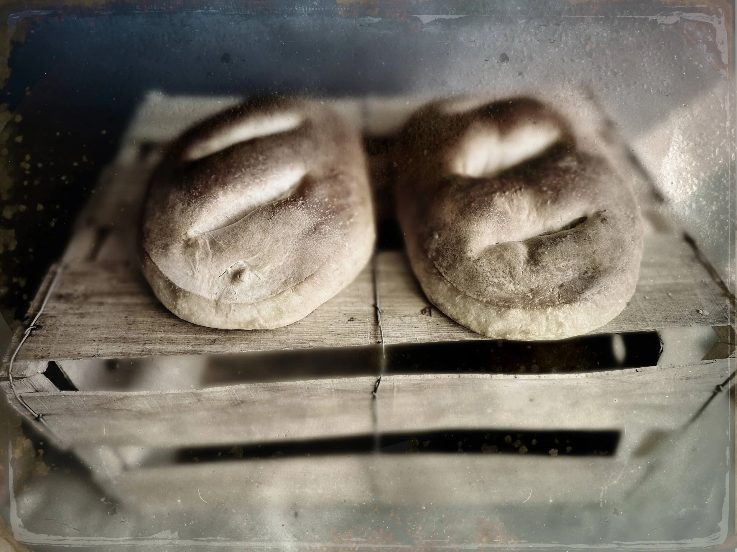 Photo Essay: Anonymous Girl