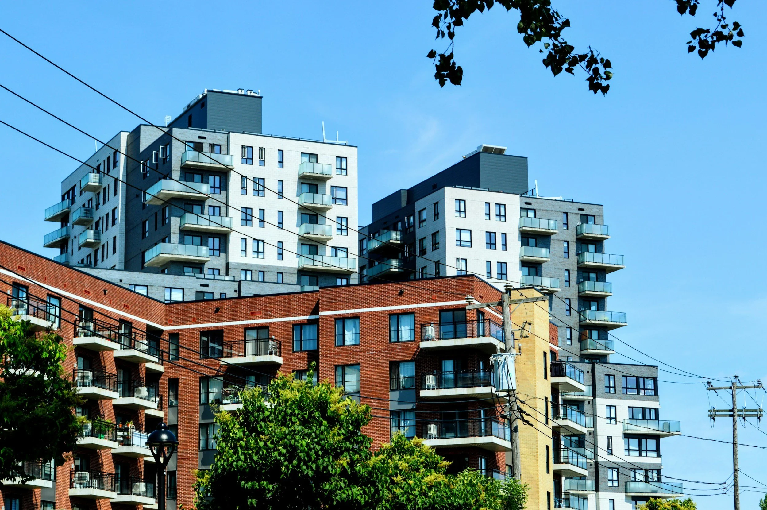Normal Heights Is All About Community—Let Ecoclean Services Help Keep Your Home Looking Its Best 