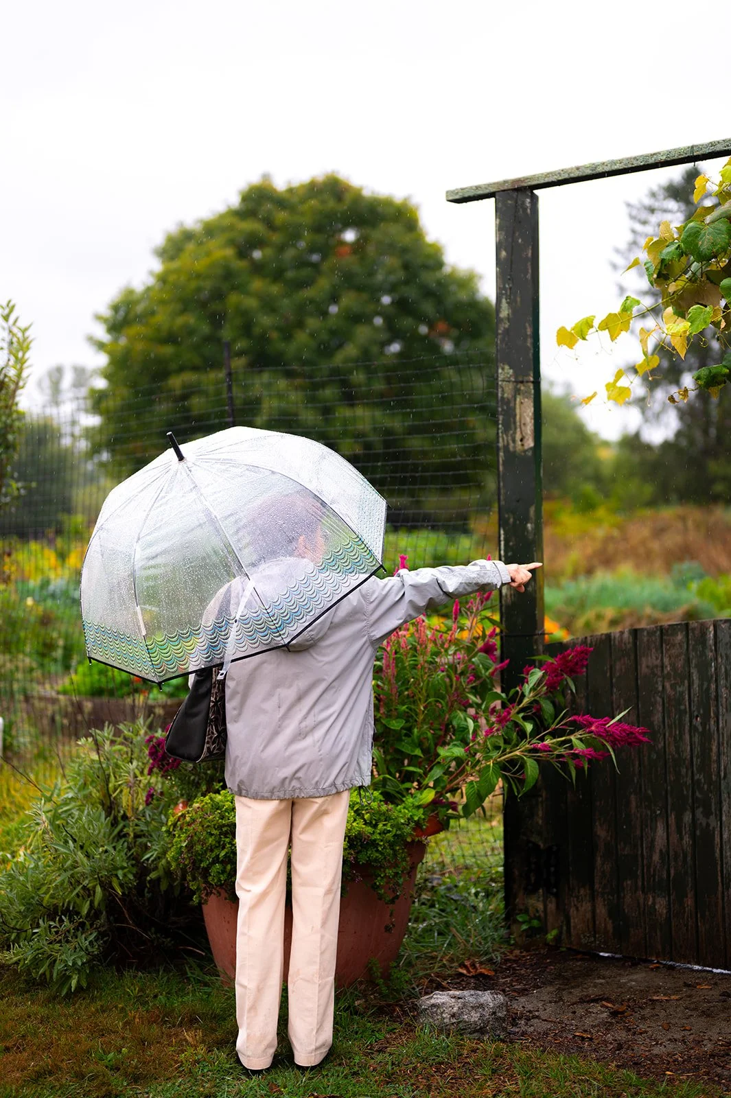 Mass Horticultural Society