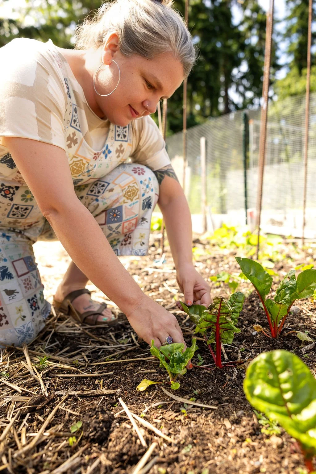 A woman with silver hair, wearing a patterned outfit, is crouching in a garden planting or tending to young vegetable plants, illuminated by sunlight with a background of trees and garden fencing.