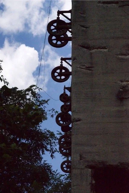 DSC01925 Large Medium.jpeg