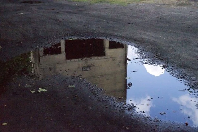 DSC01920 Large Medium.jpeg