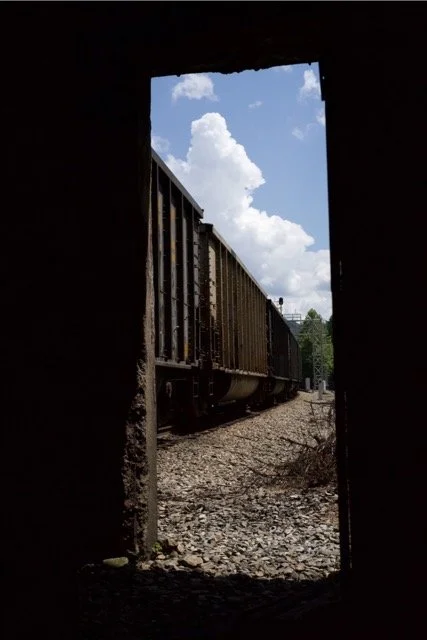 DSC01938 Large Medium.jpeg