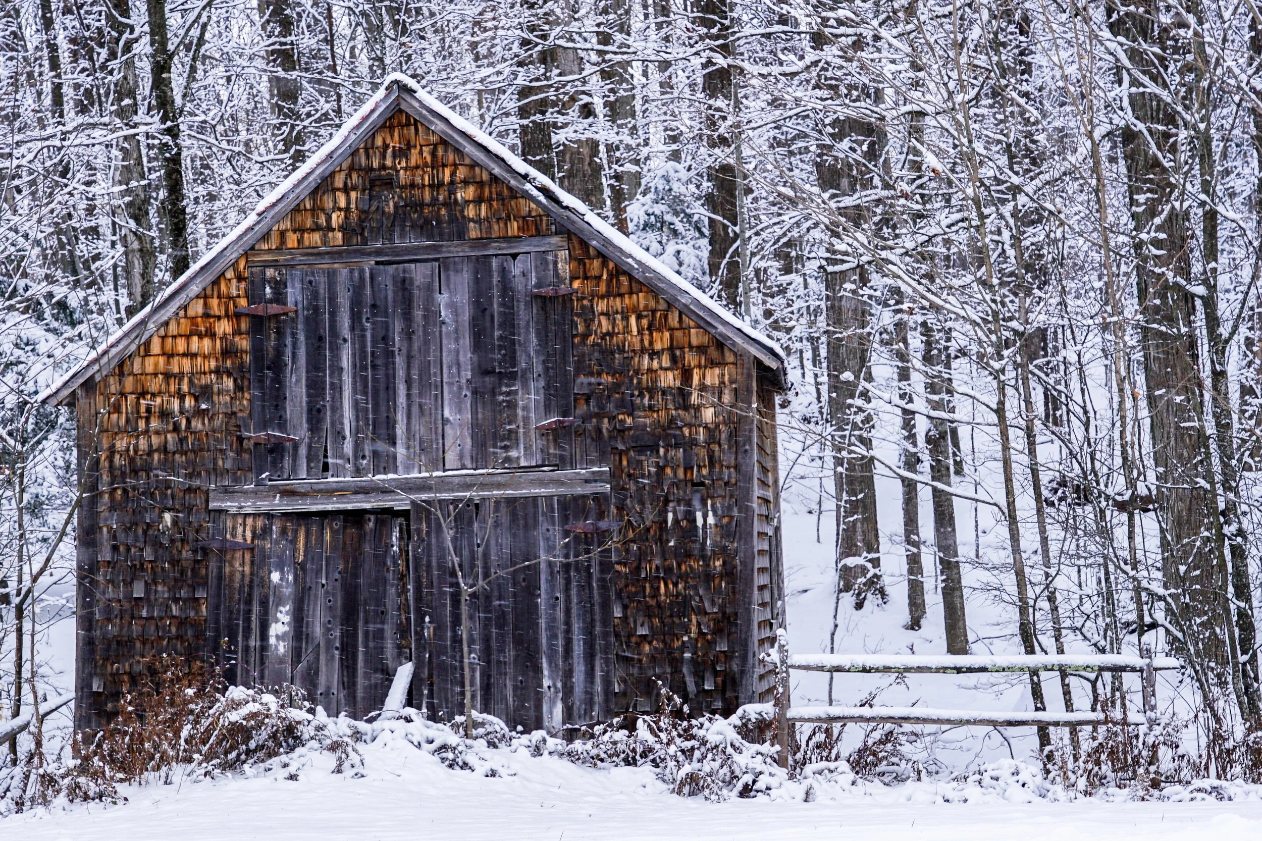 The cedar shingle storage shack beside the fence line during a winter in Vermont