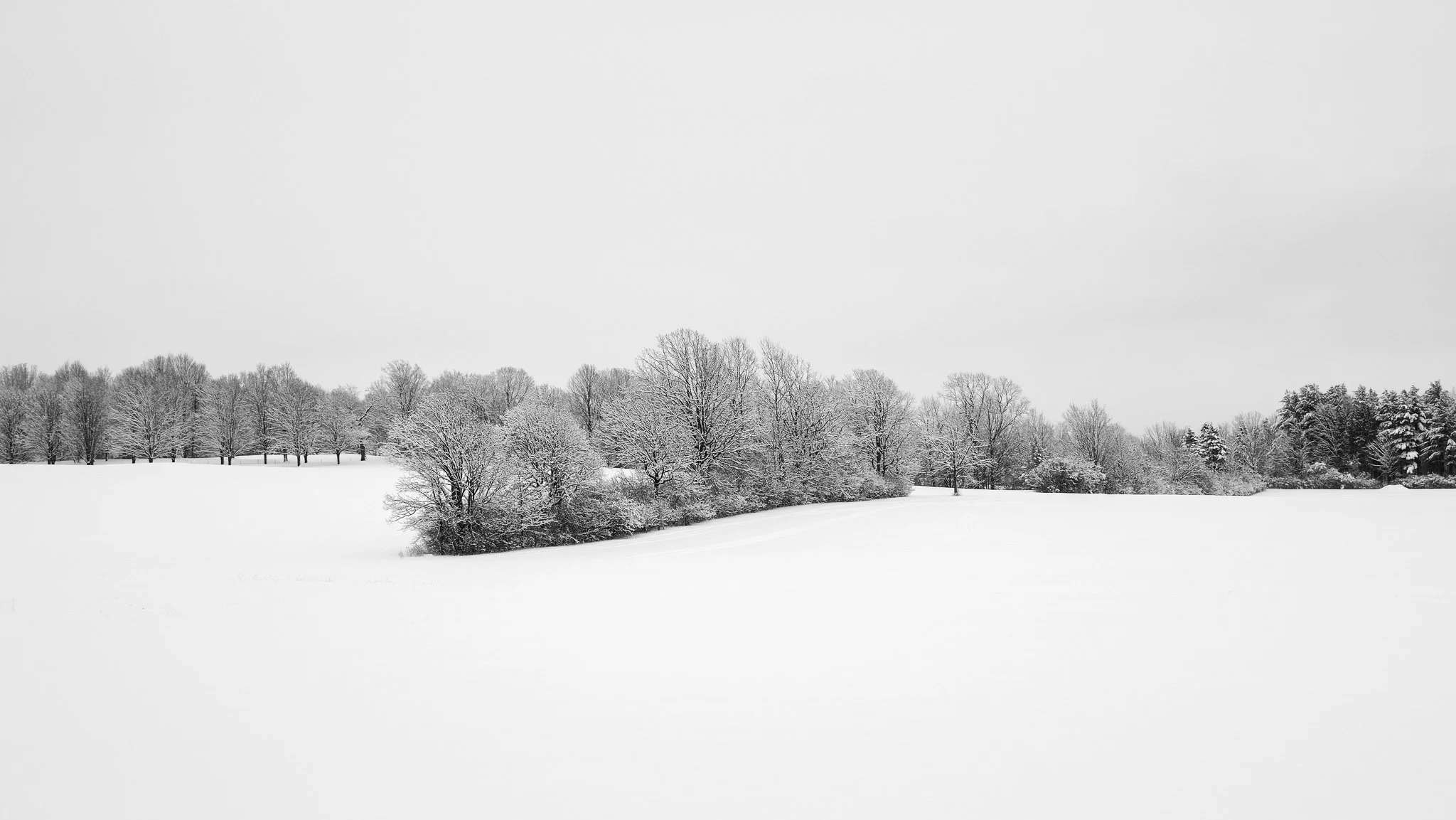 Snowy field