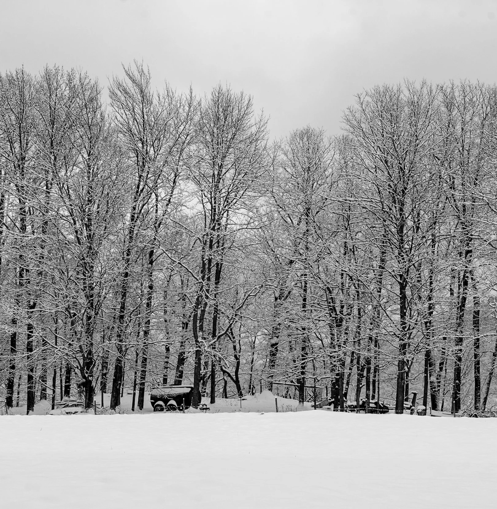 Farm equipment rests among the trees for the winter, a typical Vermont scene.