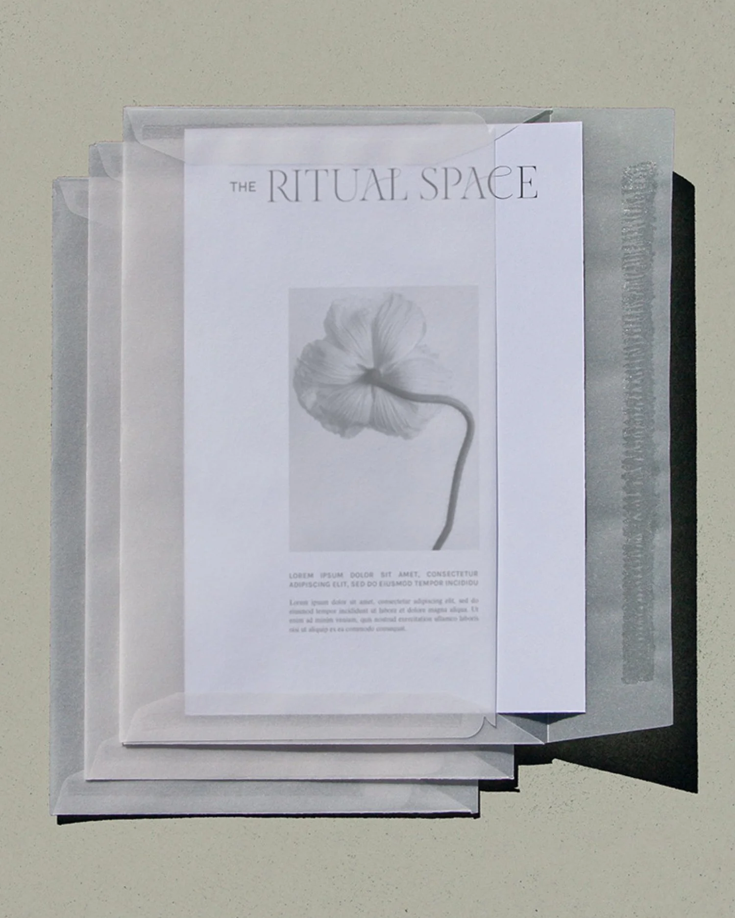 The Ritual SpaceStudio Kanuka brand design.jpg