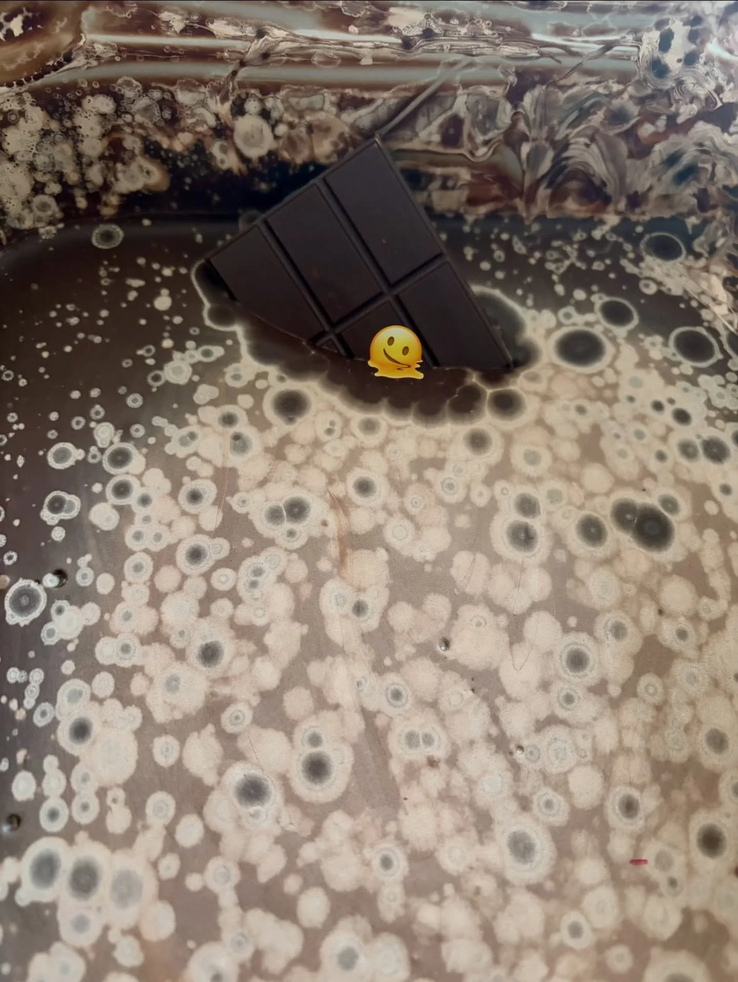 I took this photo in the midst of my holiday rush (chaos?) because it felt like a pretty accurate snapshot of how I was feeling and finally feel like I have a second to share.

I finished barring my last chocolate batch of the year this week, which s