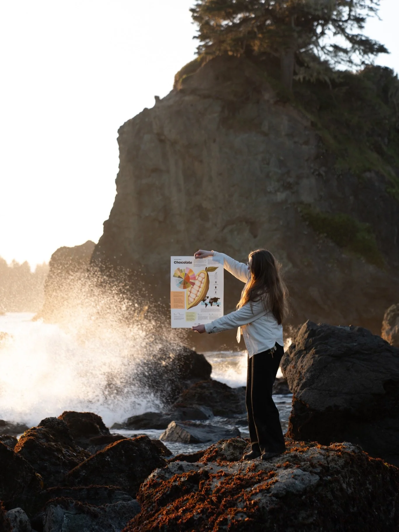 @funfactcompany and I partnered on a chocolate infographic poster filled with, well, fun facts (pictured above!) and a chocolate bar. We met at @renegadecraft last fall and will be sharing a booth at the spring fair next weekend at Fort Mason where t