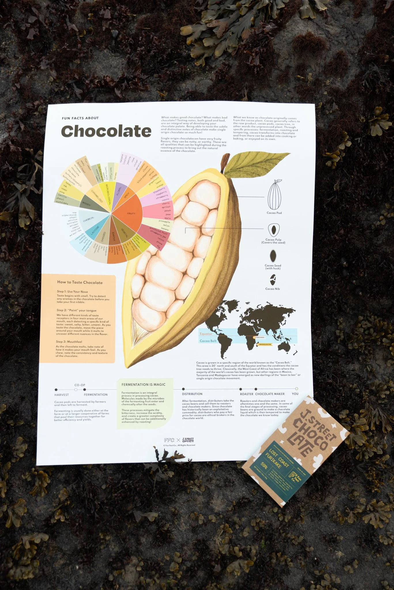 Fun-Fact-Co-j-Street-Chocolate-Collab-Lost-Coast-Furikake-Chocolate-Bar-Trinidad-CA-James-Adam-Taylor-Photography-5.jpg