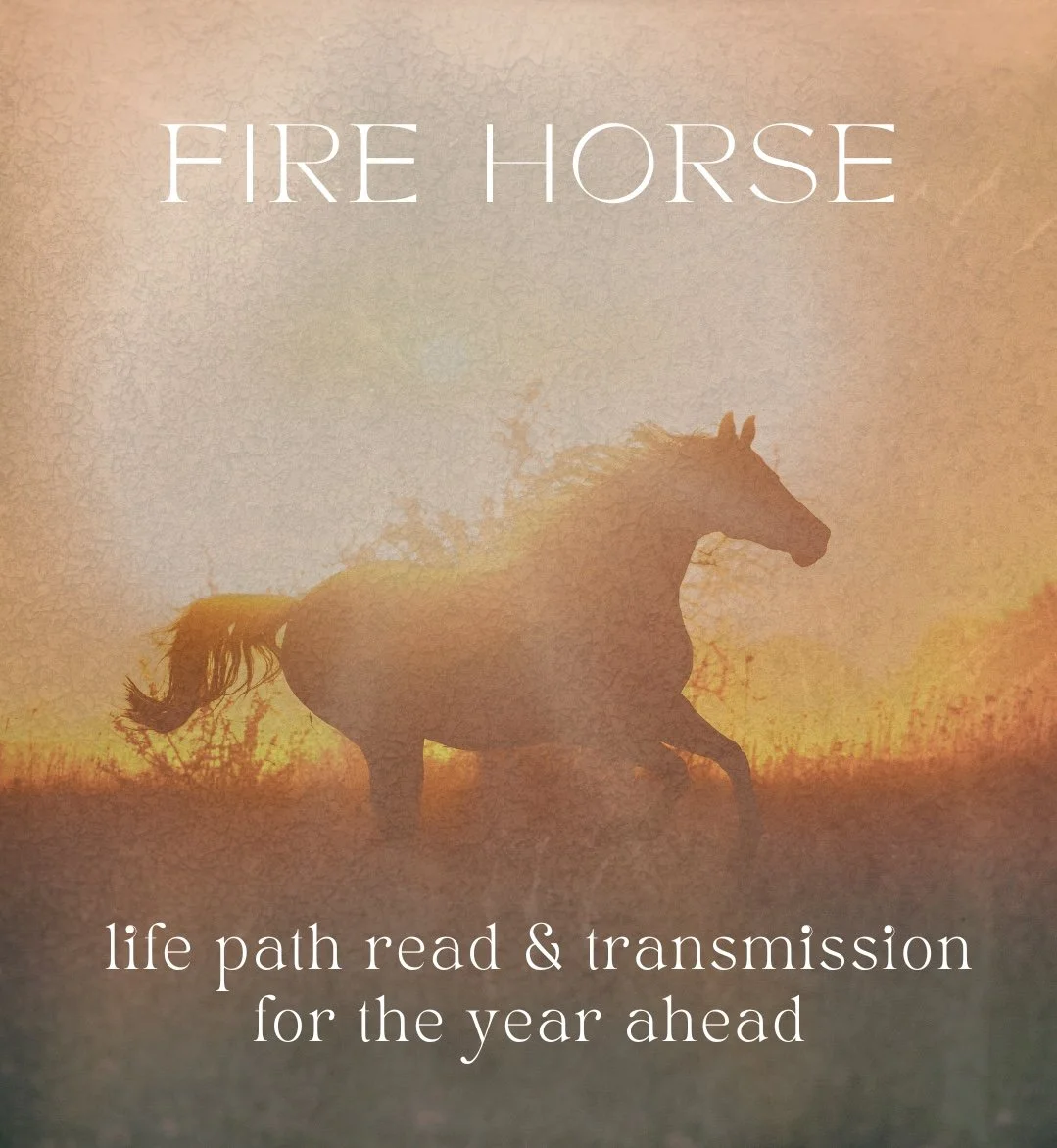 Fire Horse Year Transmission