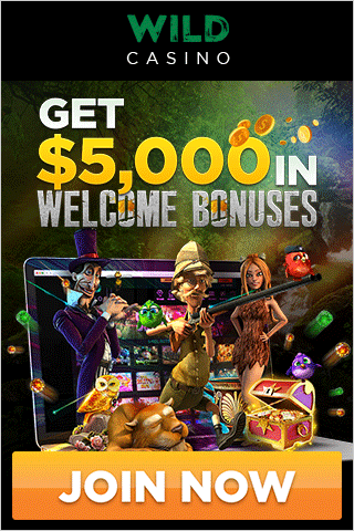 WC_Casino_WelcomeBonus_Banners3_320x480.gif