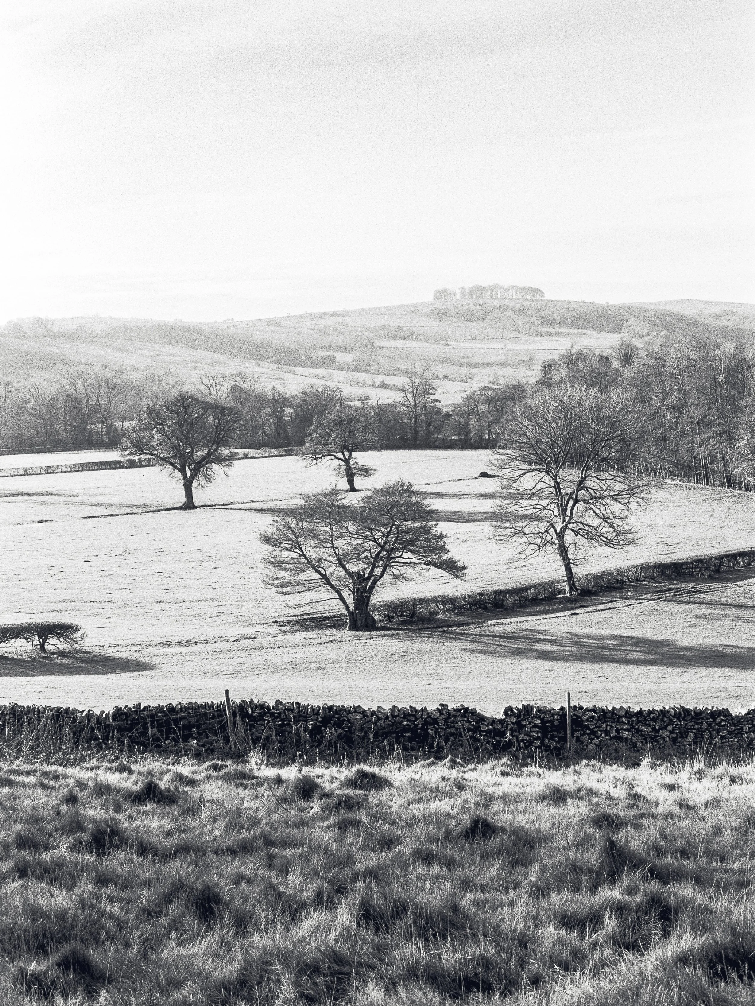 Introduction to Analogue Photography