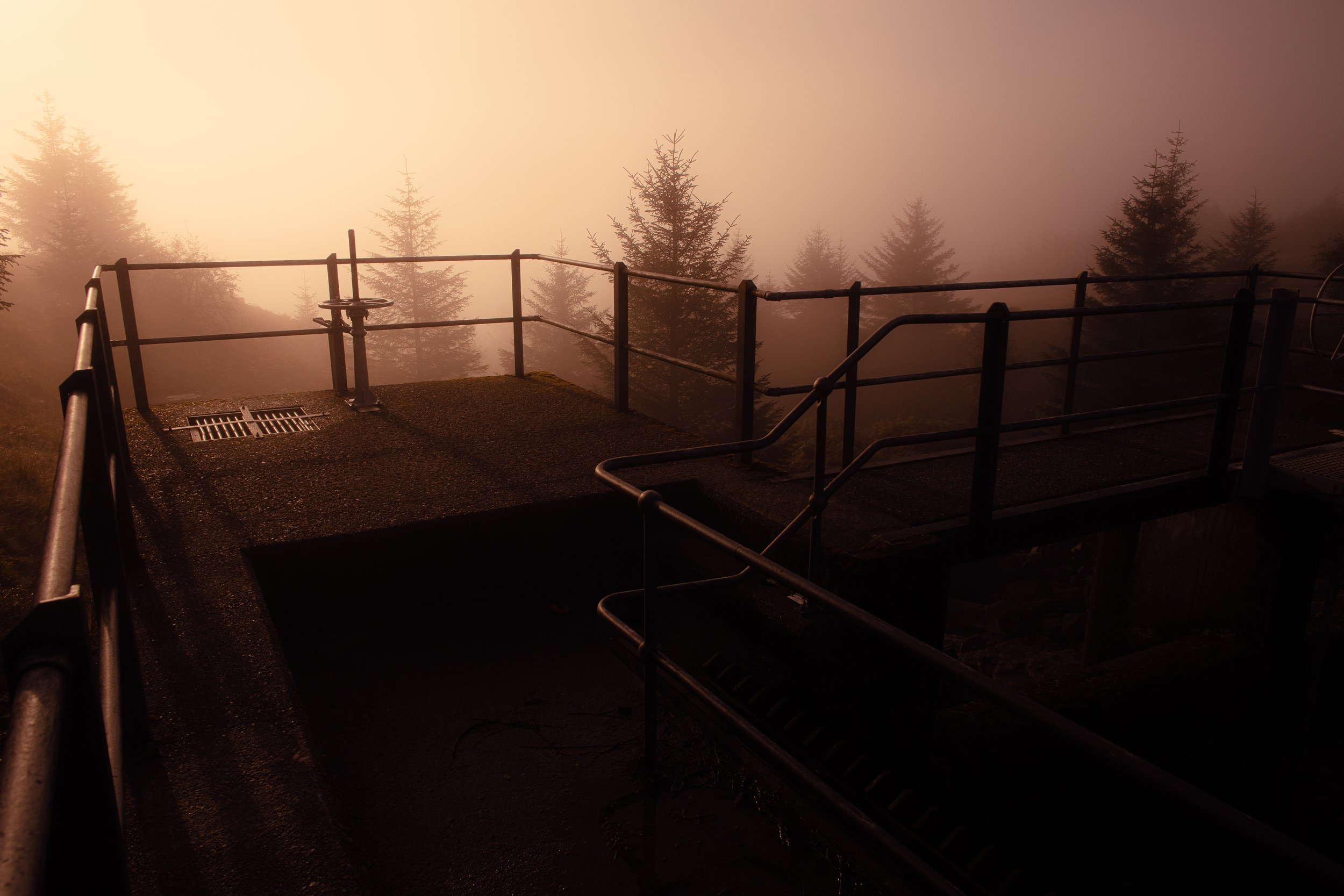 GHP Landscape Portfolio 2026-012.jpg