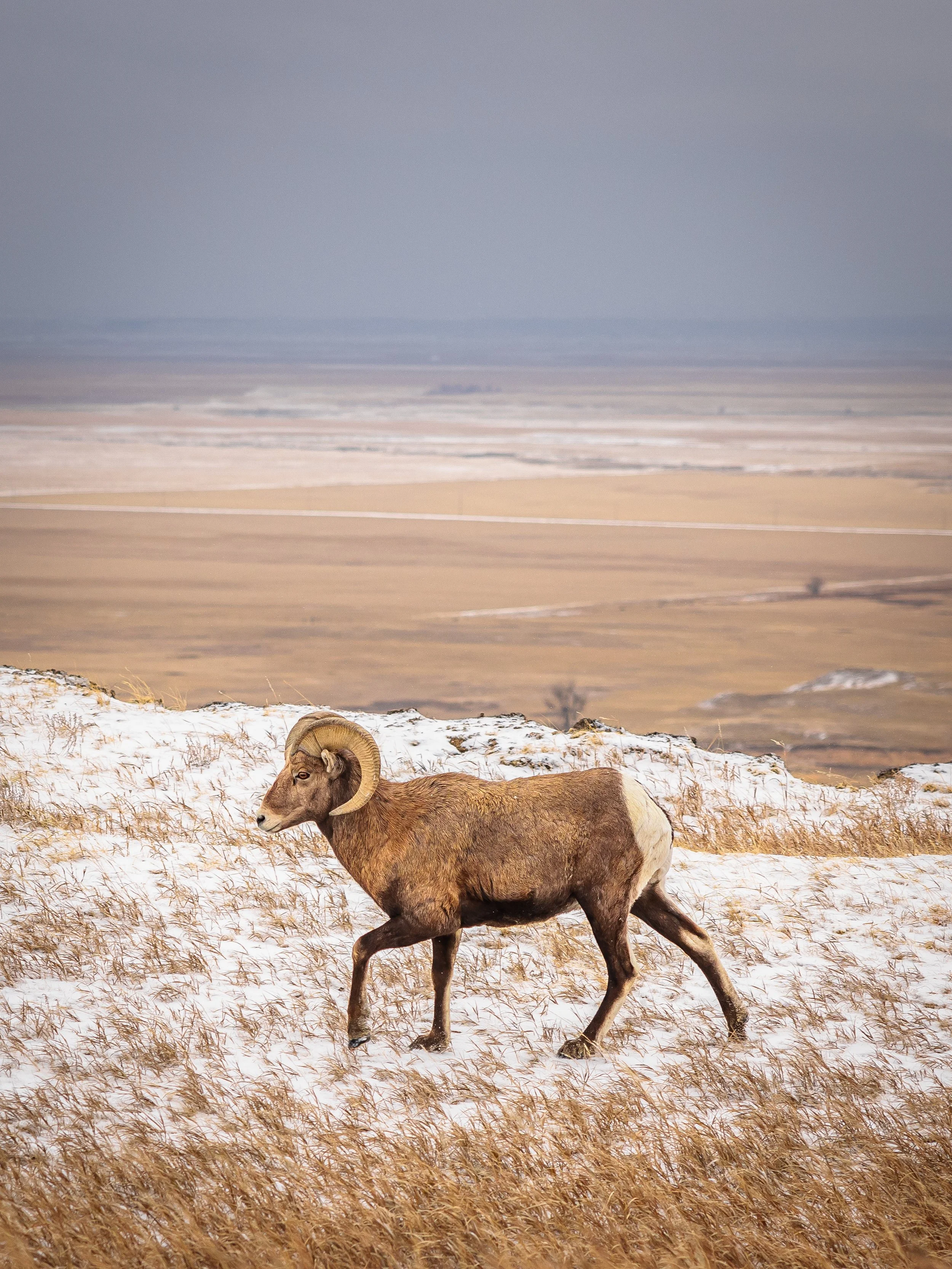 USA Party slideshow-328.jpg