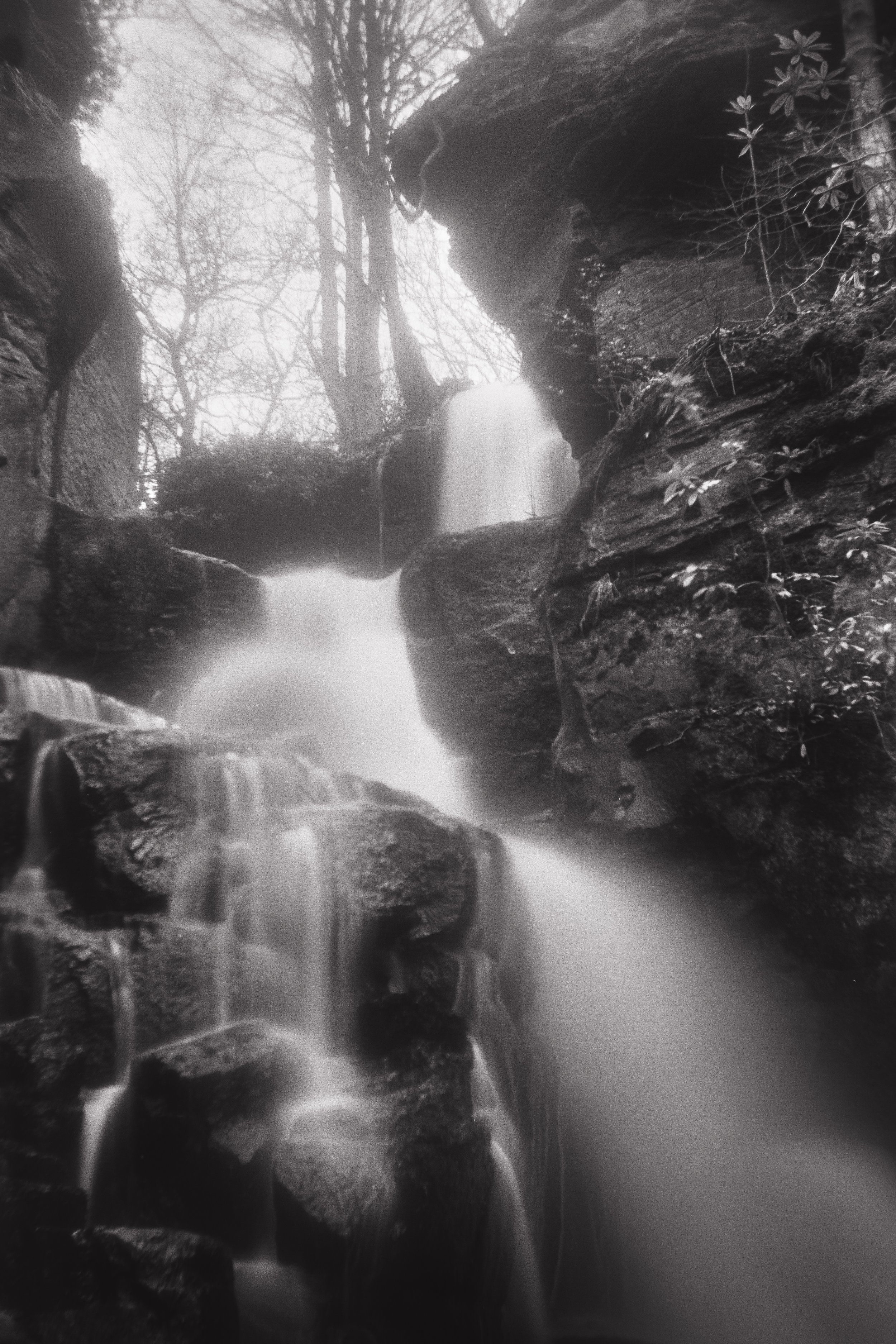 GHP_Lumsdale Pan F-7.jpg