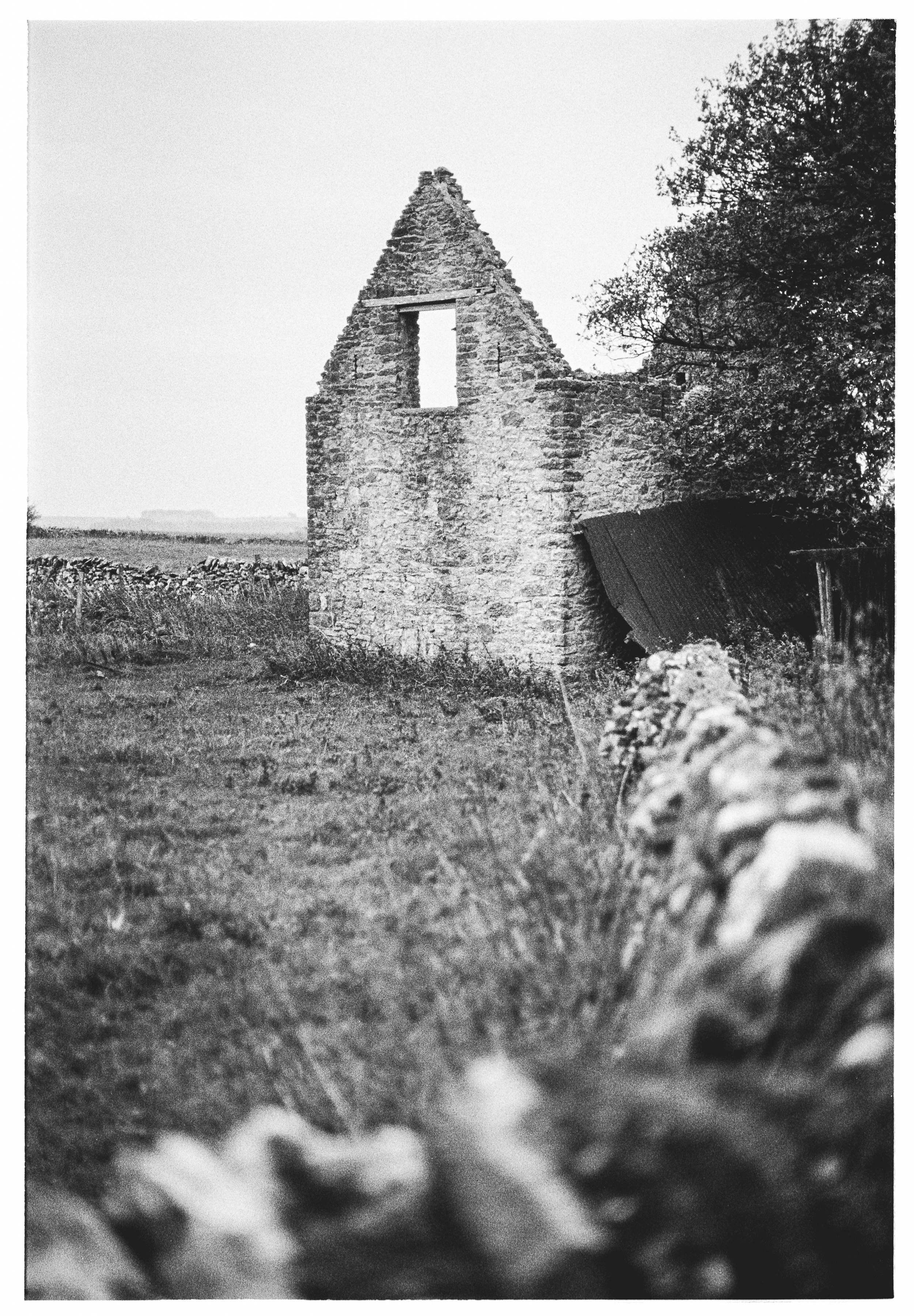 Introduction to Film Processing