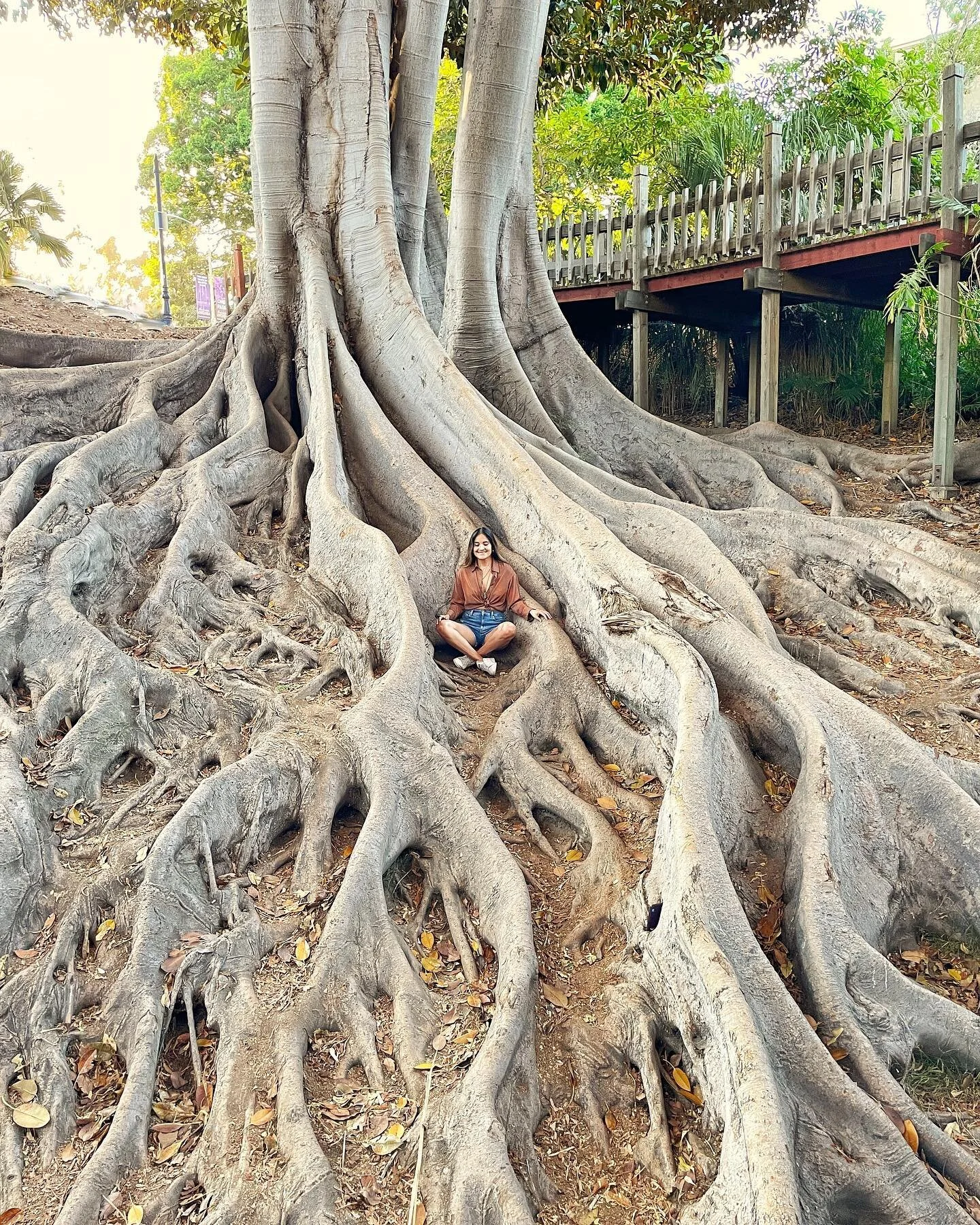 🌳 Las ra&iacute;ces se sienten hogar. 

Resguardan, y contienen. 
Aligeran.
Permiten vaciar las cargas.
Retomar vida. 
Fortalecen el Aura. 
Me regresan al #hogar de mi #cuerpo sanado. 

#raices #linaje #lunallenacapricornio #patrones #vacio #healing