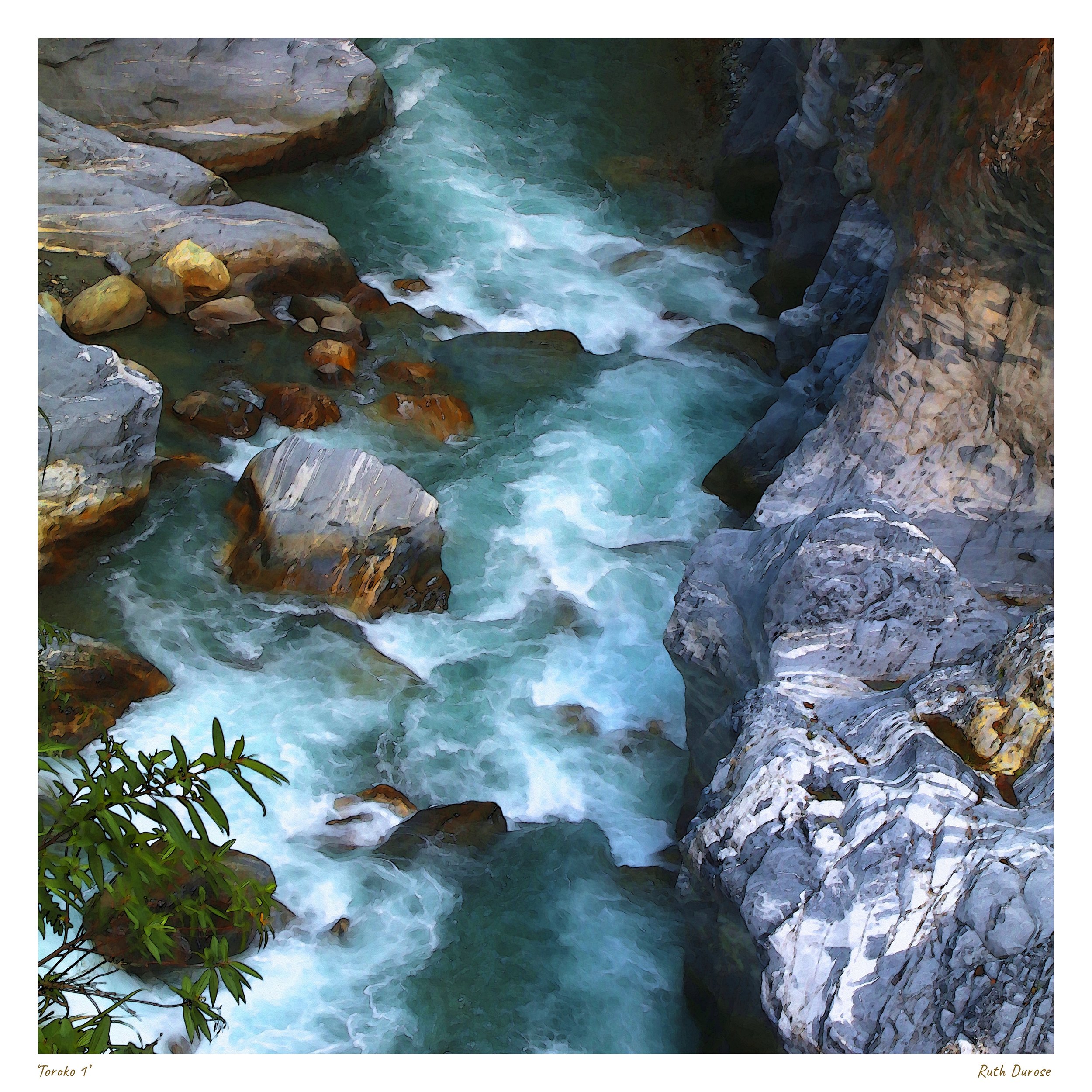 Toroko 1 IMG_1273 small.jpg