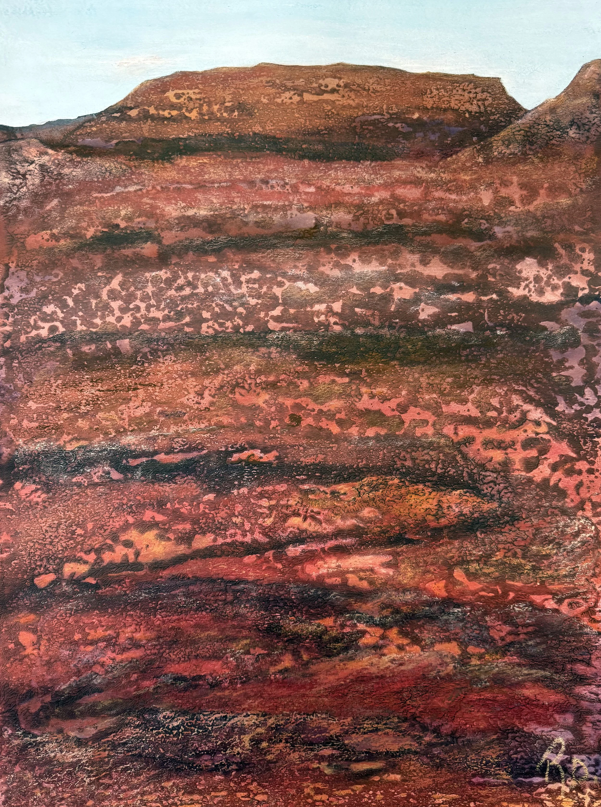 Red Dust and Rocks - Mt Barry Station IMG_6666.jpg