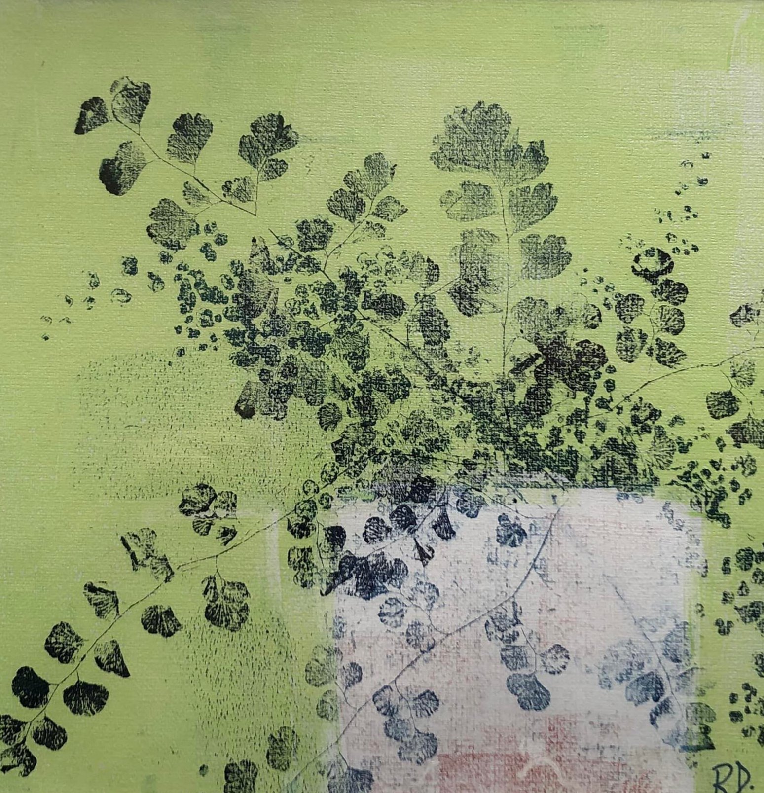 Maidenhair.jpg