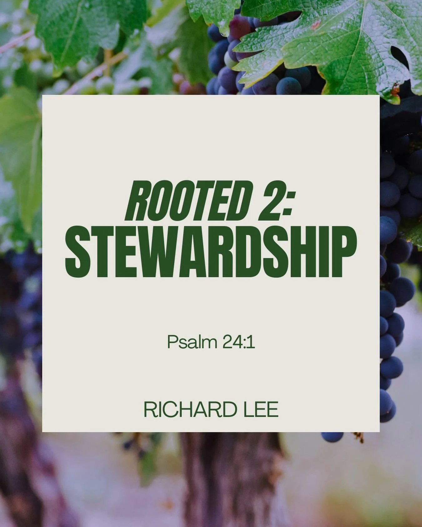 We conclude Rooted 2: Adventism series this week with @richardlee405 sharing on what&rsquo;s next. Celebration to follow the worship service
#rooted2adventism #stewardship #sermonseries #celebration #thenextstep
