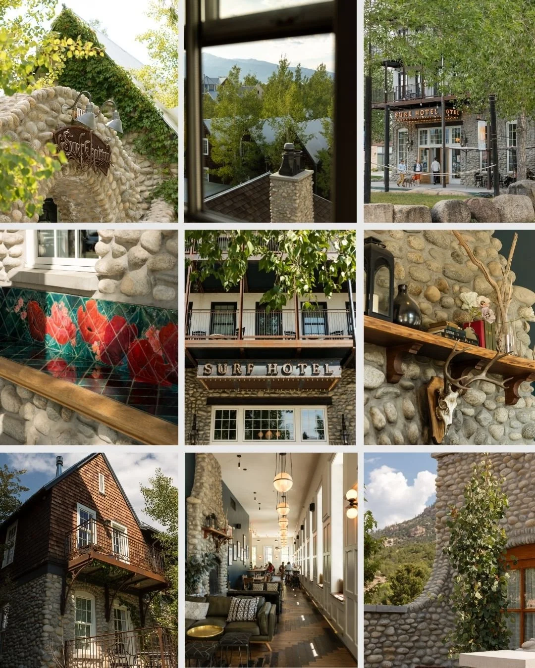 surf hotel Buena Vista