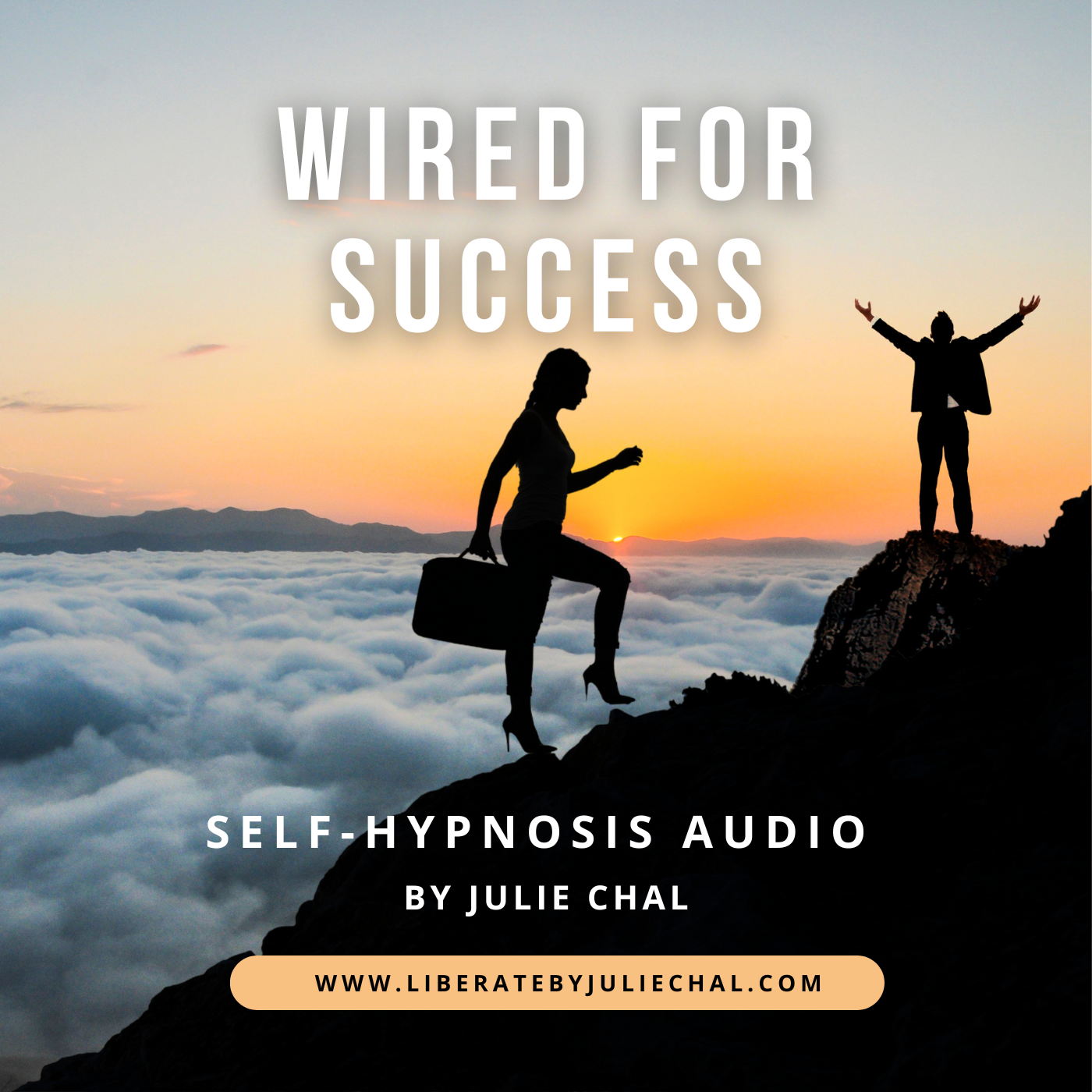 Wired for Success Cover.png