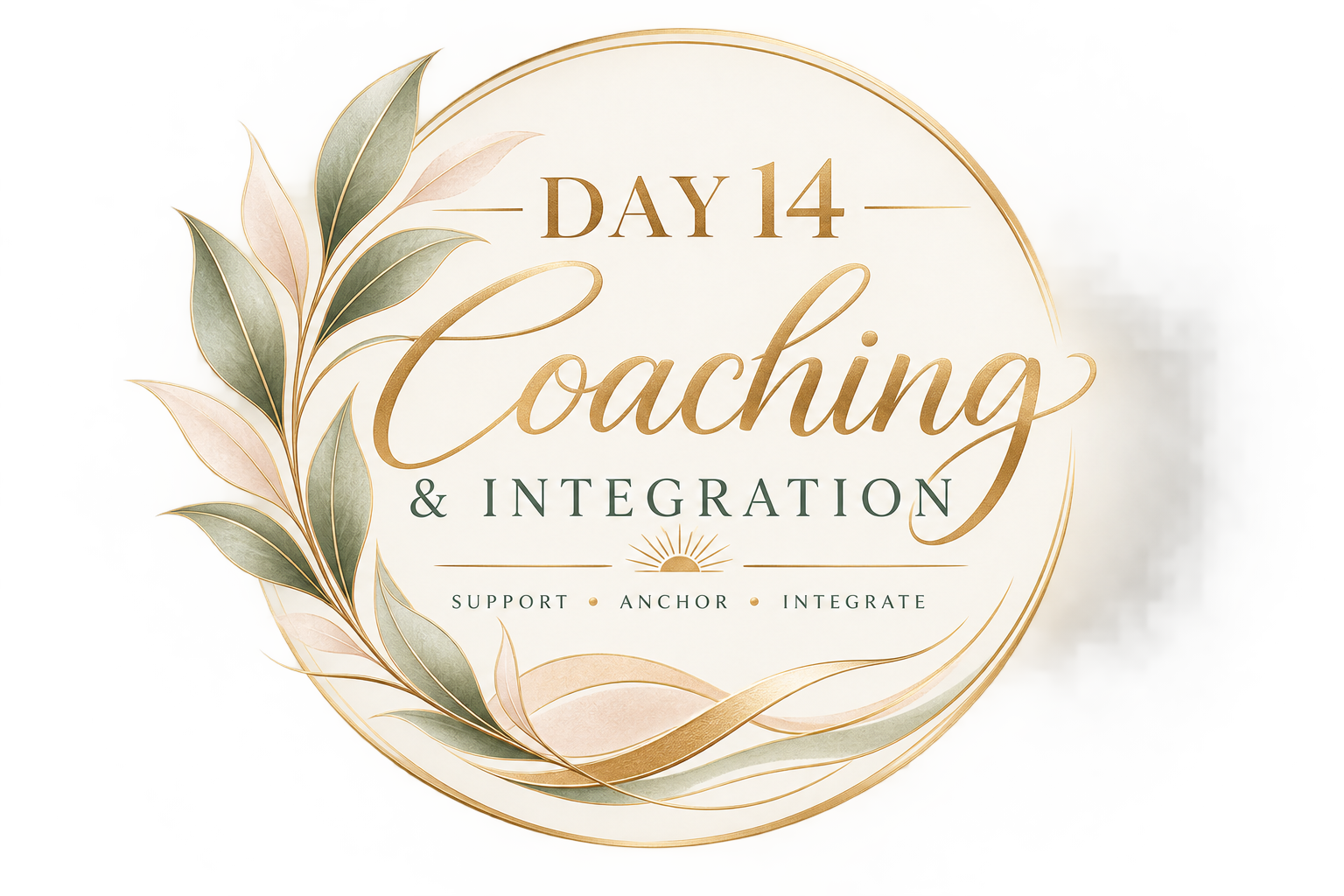 Rapid Transformational Therapy Perth | Julie Chal