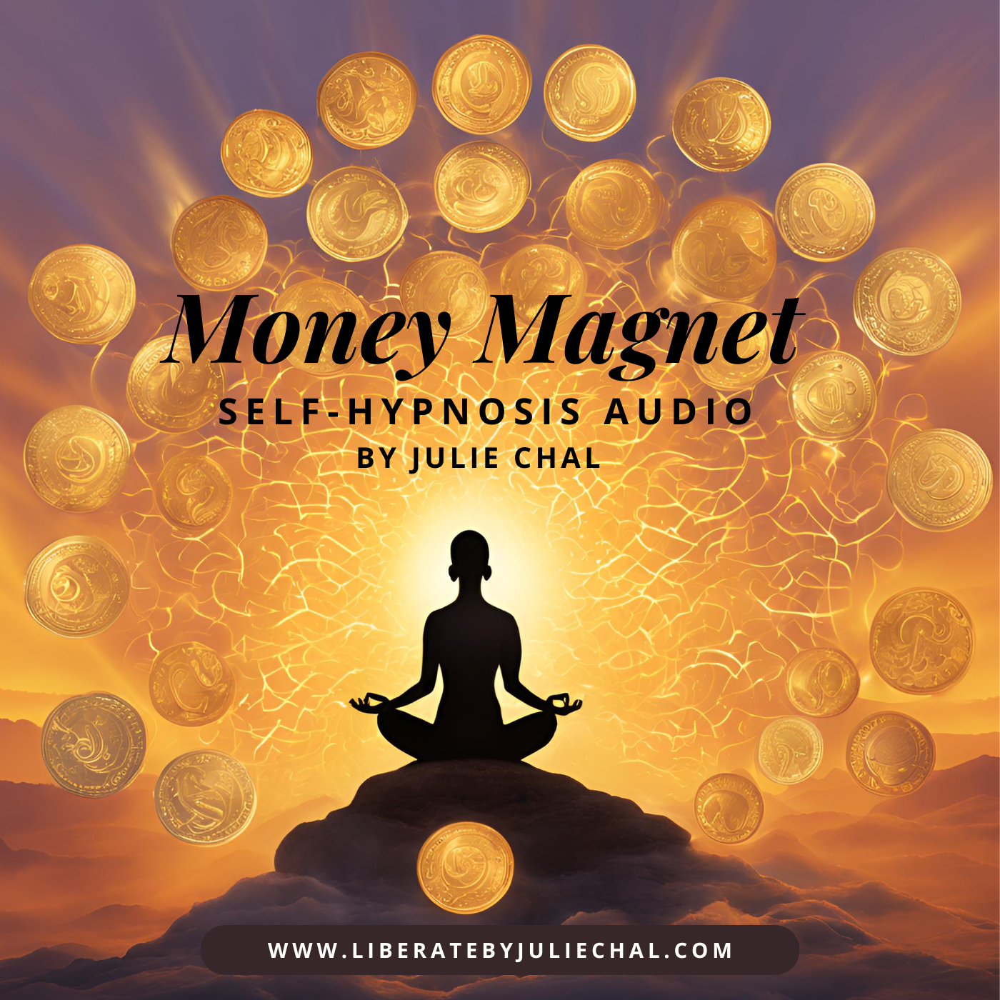 Money Magnet Audio Cover.png