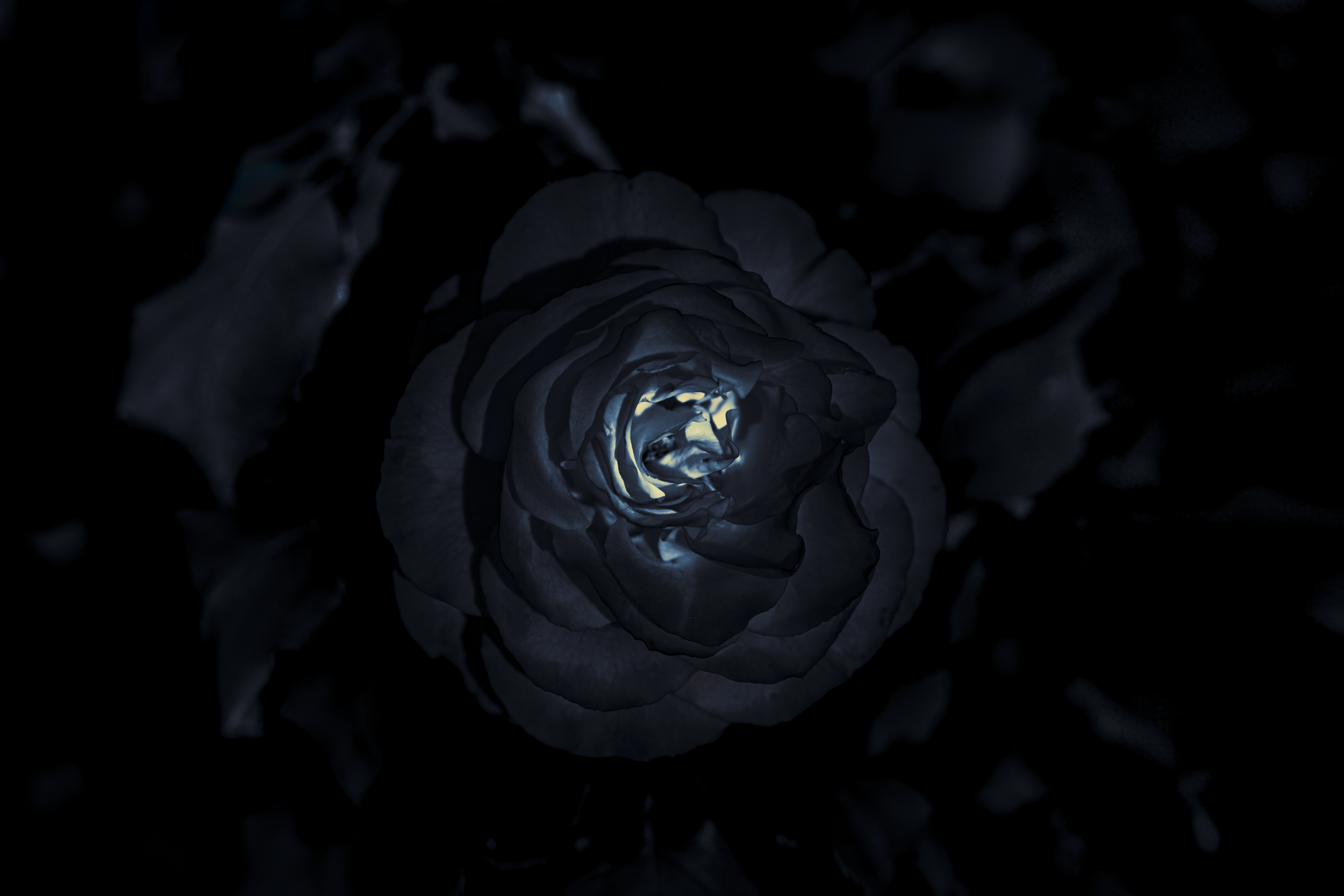 80.png