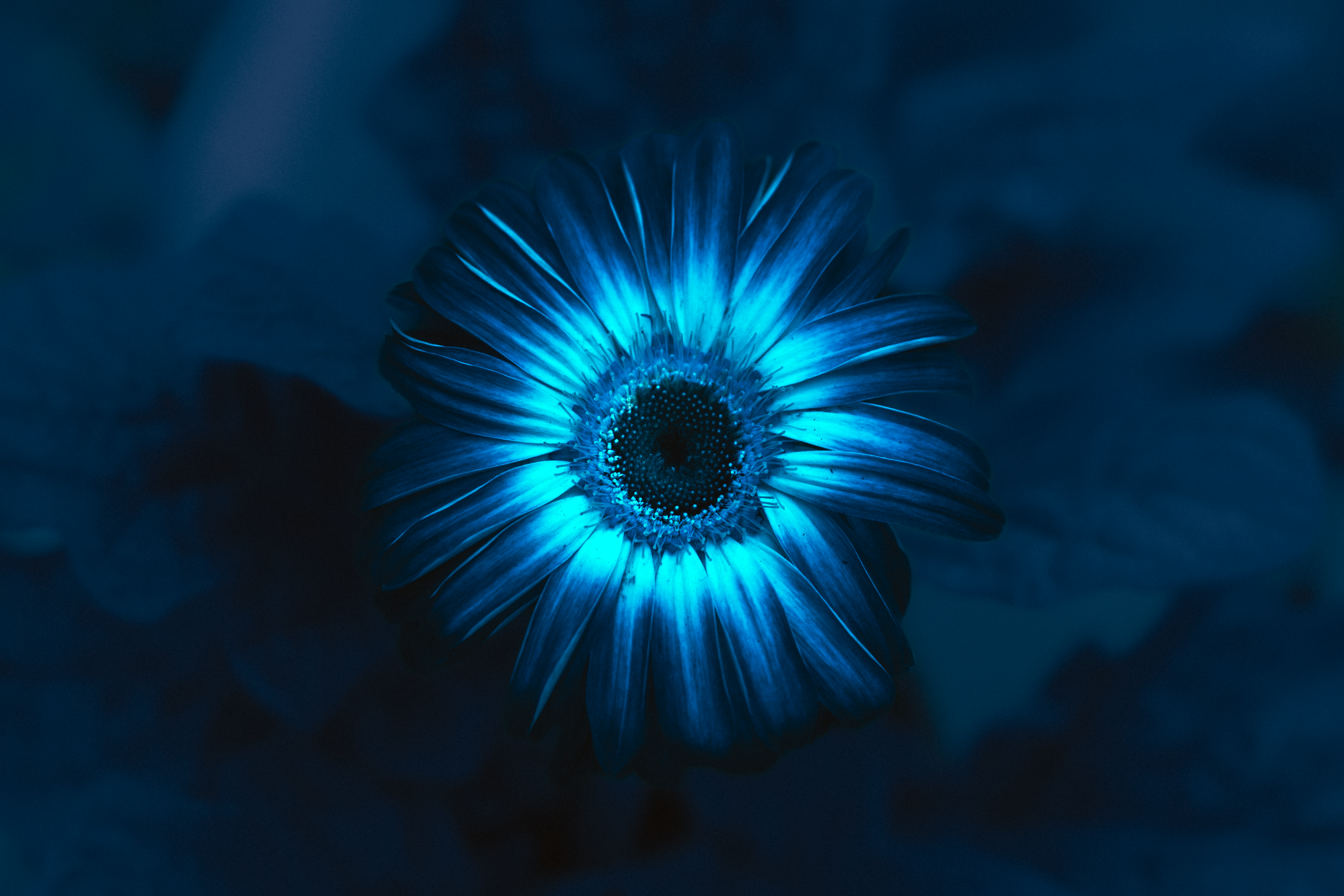 68.png
