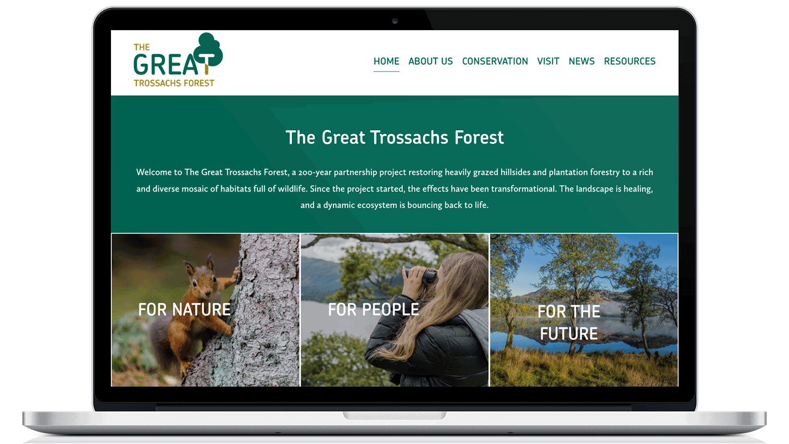 Great Trossachs Forest 