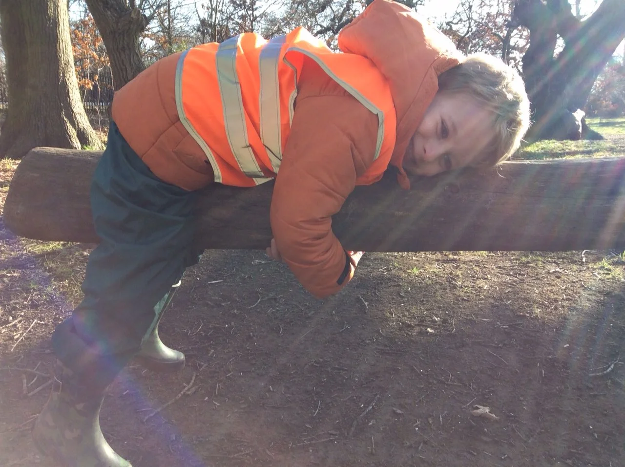 Squirrels News - February 11th 2022