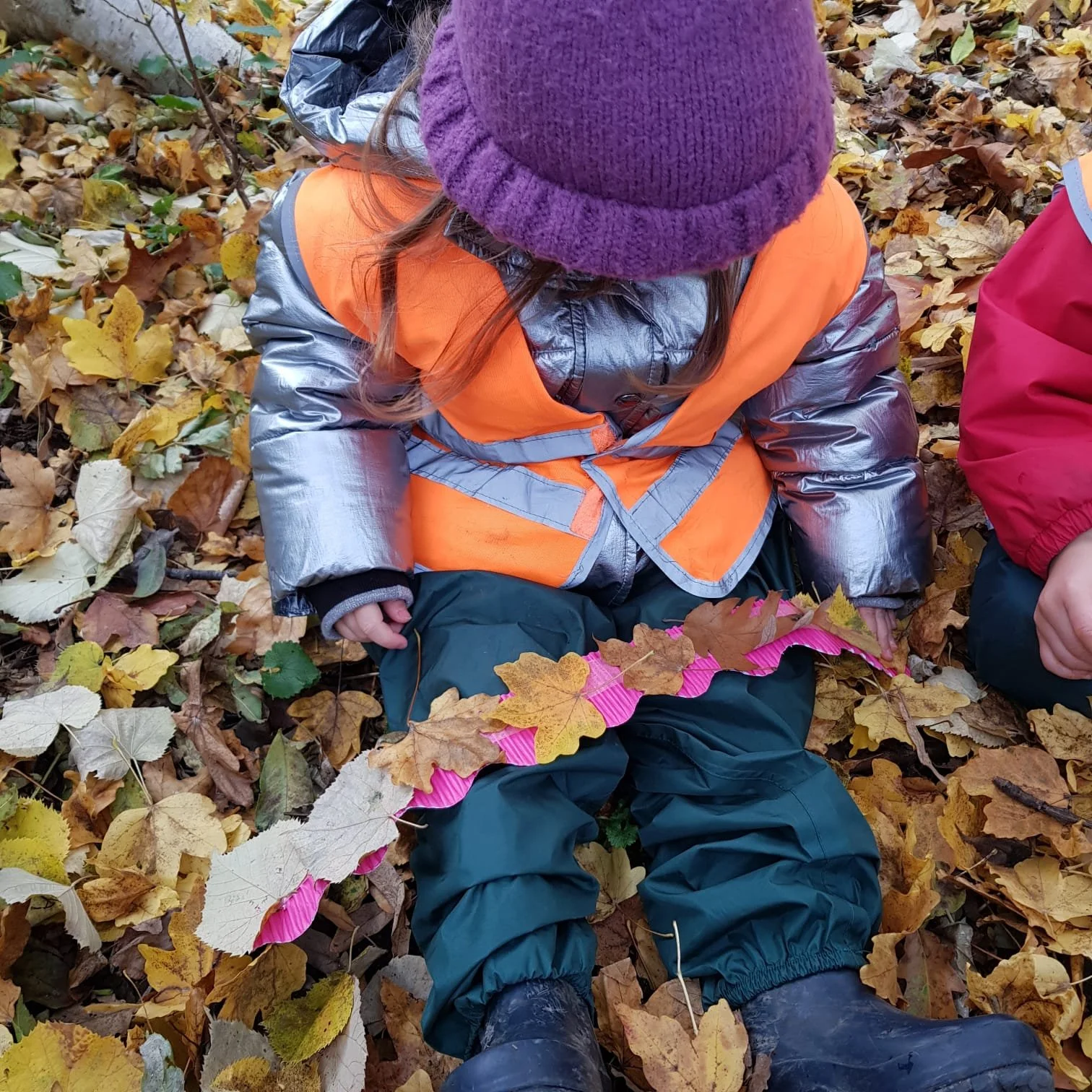 Squirrels News - 24th November 2023