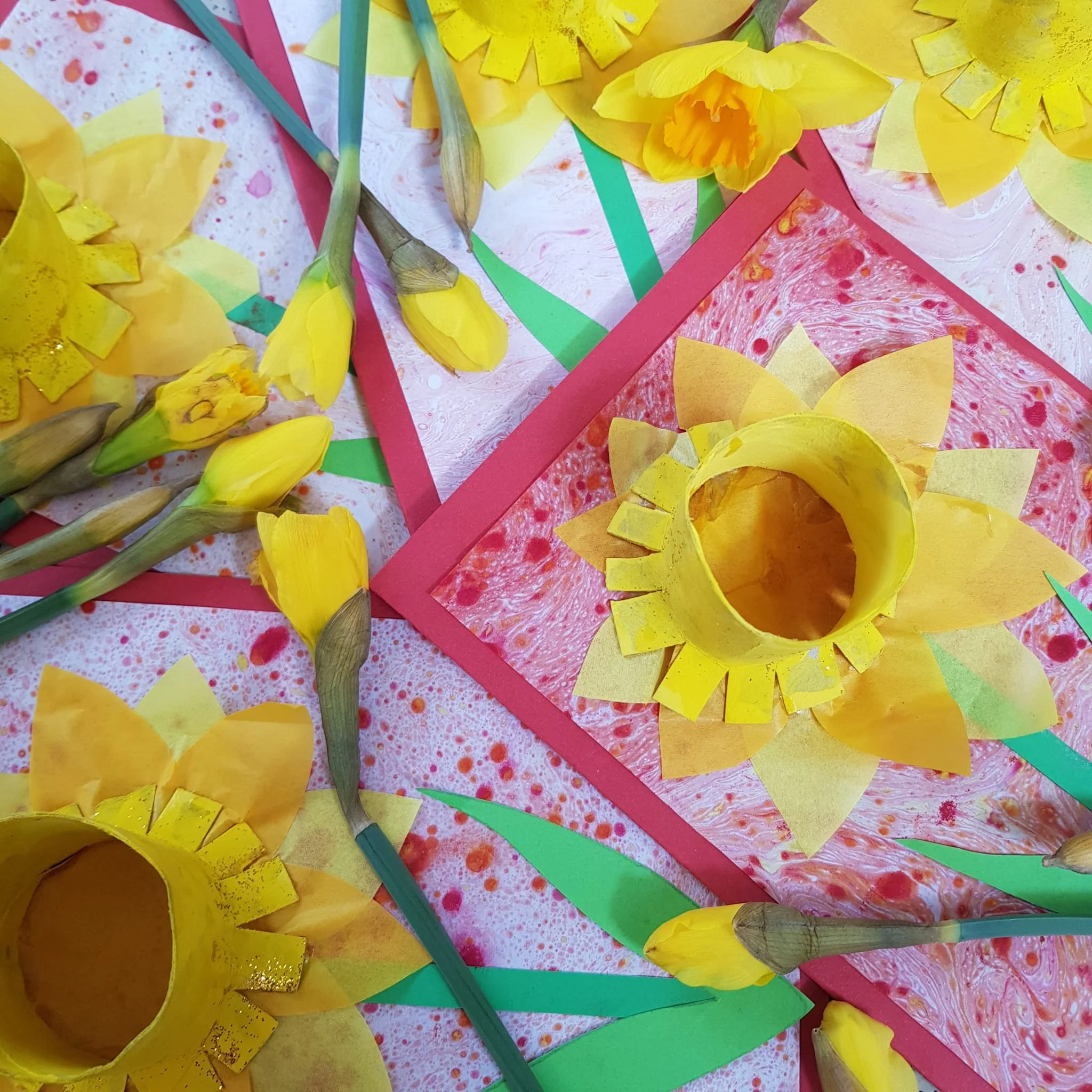 Squirrels News - 8th March 2024