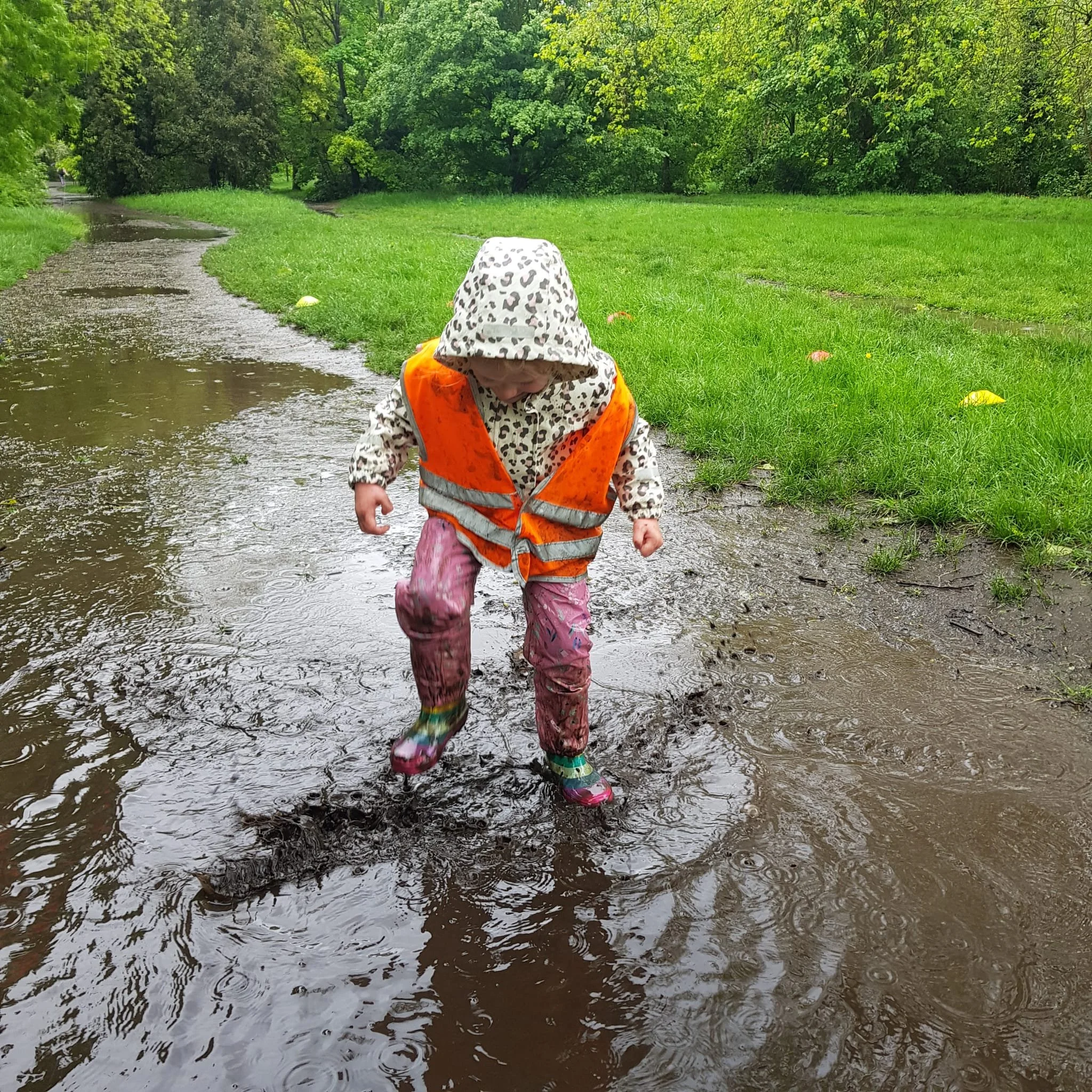 Squirrels News - 3rd May 2024