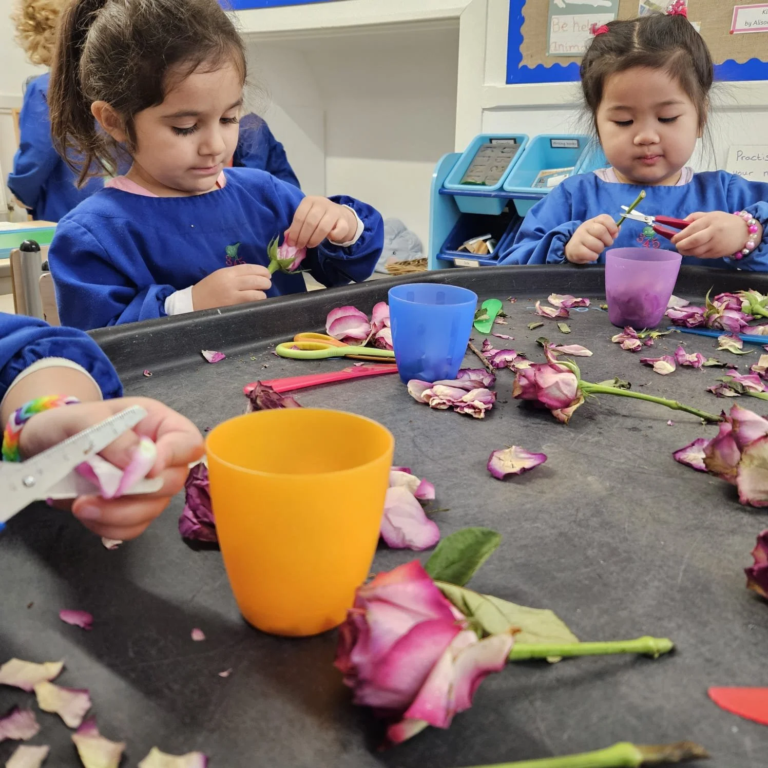 Squirrels News - 4th October 2024