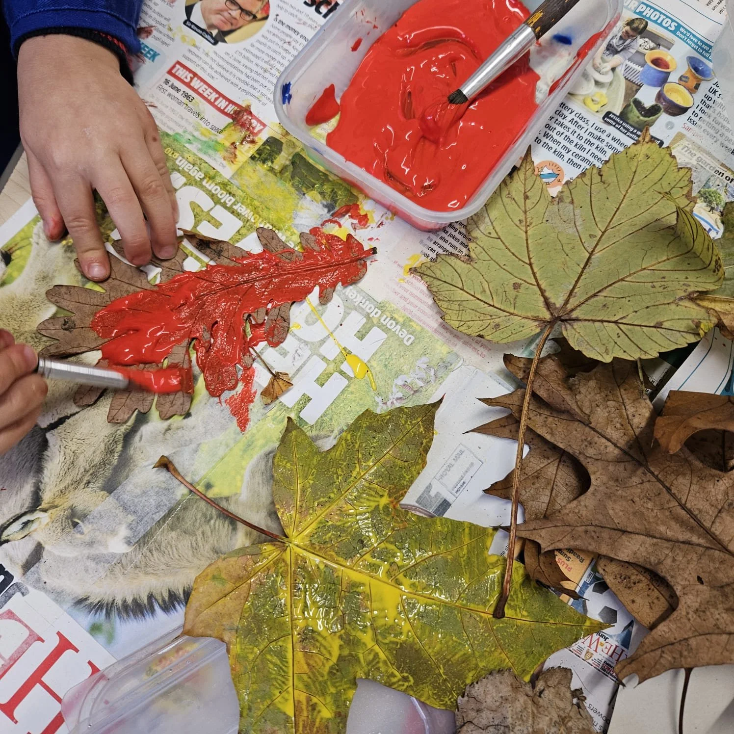 Squirrels News - 25th October 2024