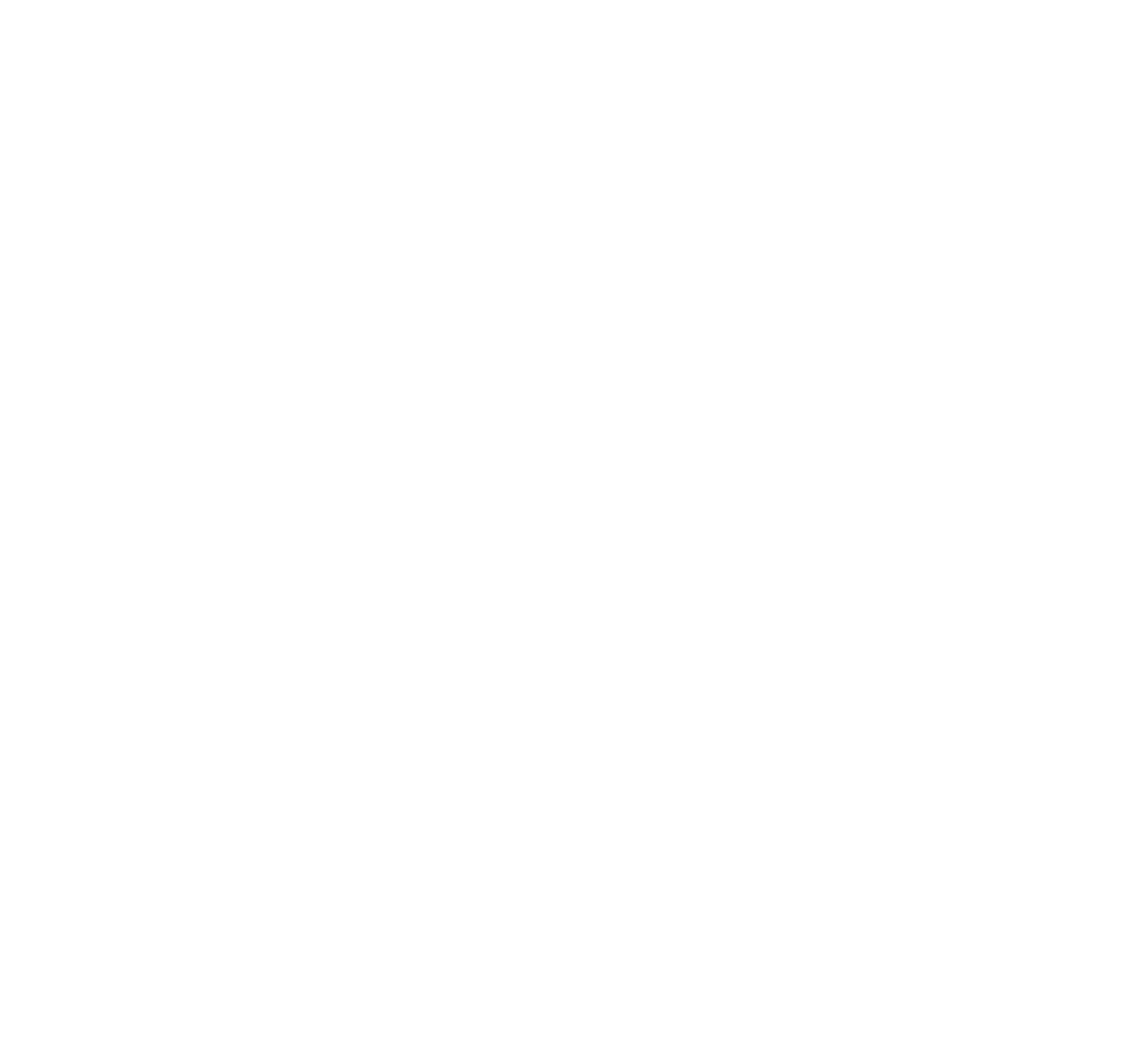 Black background with a white circular logo resembling a wave or spiral pattern and the words 'Lightyear Leadership' in white text.
