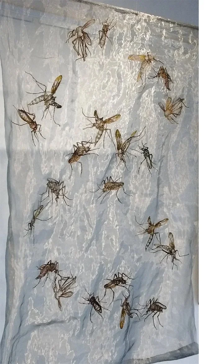 Bad Faries - Freehand machine embroidered steel mesh in response to Zika virus outbreak.