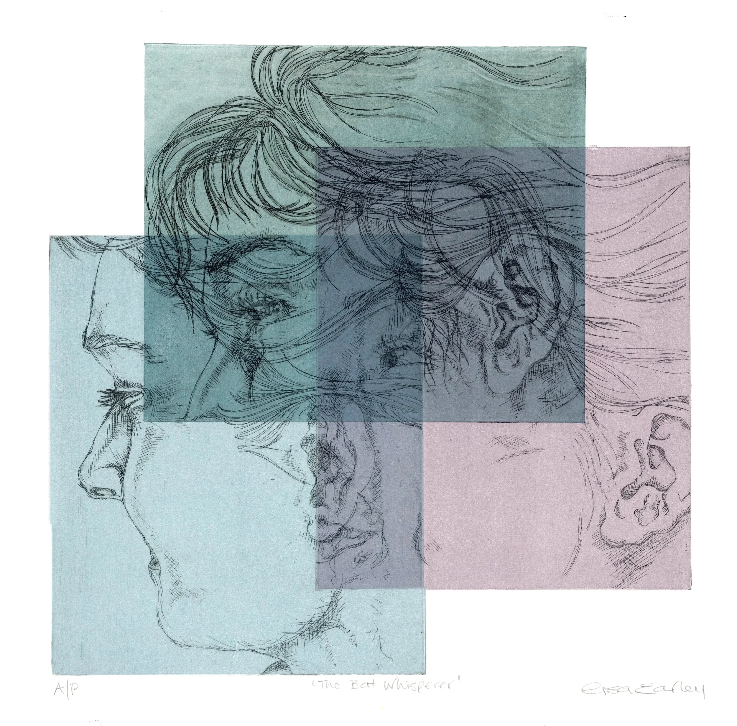 'The Bat Whisperer' - Multi plate relief etching