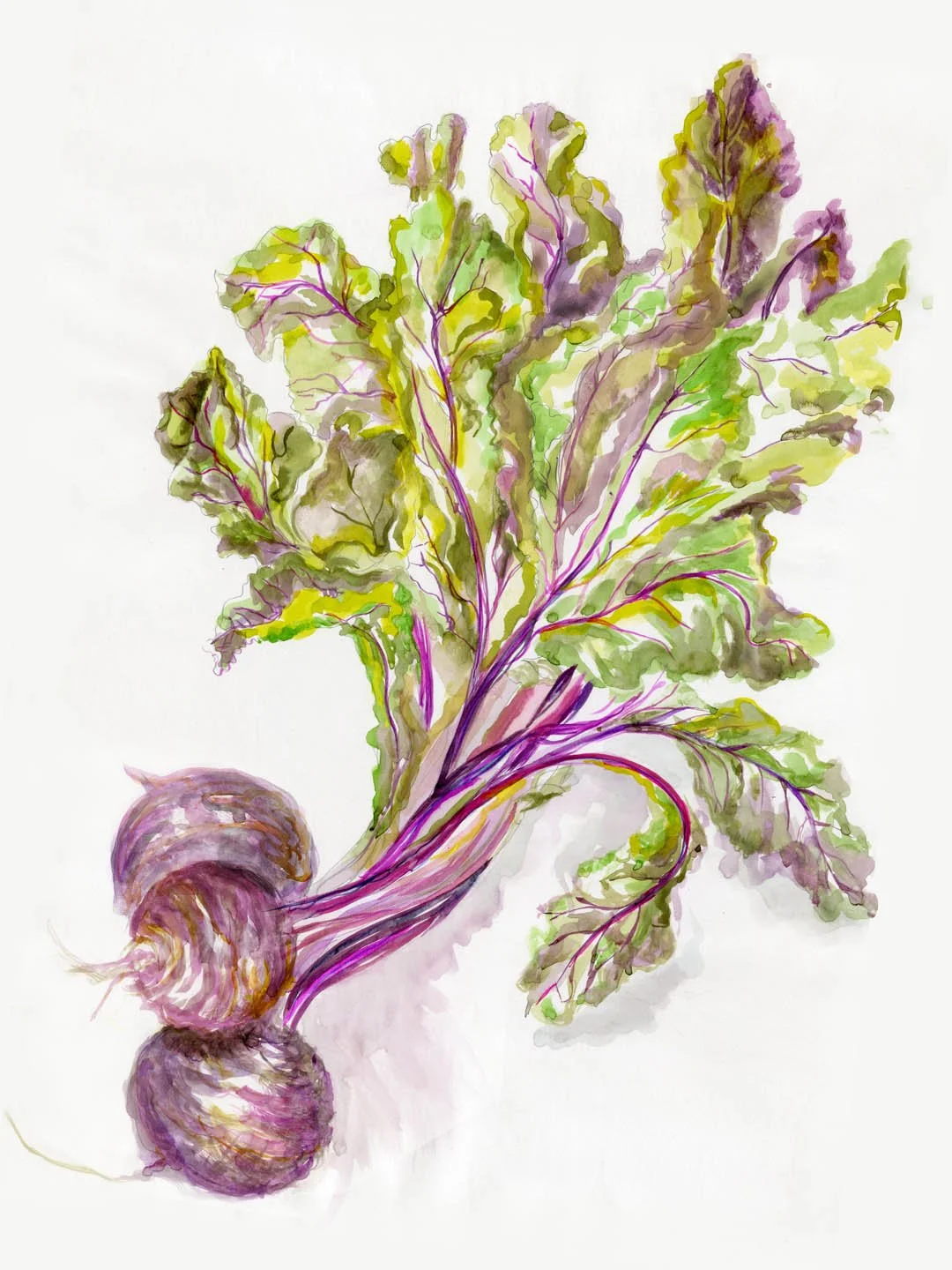 Study for 'Lunch'