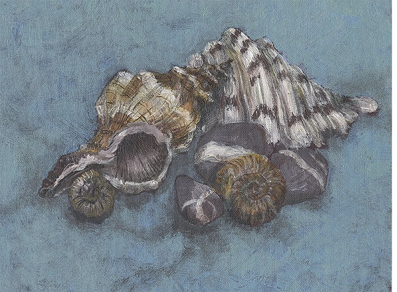 Shells-acrylic on board