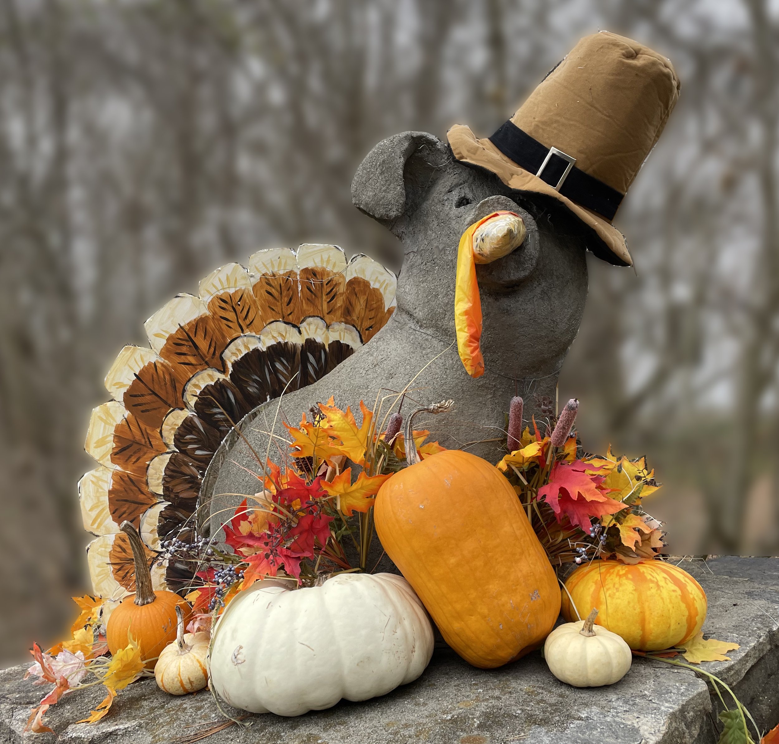 Thanksgiving 2025.jpg