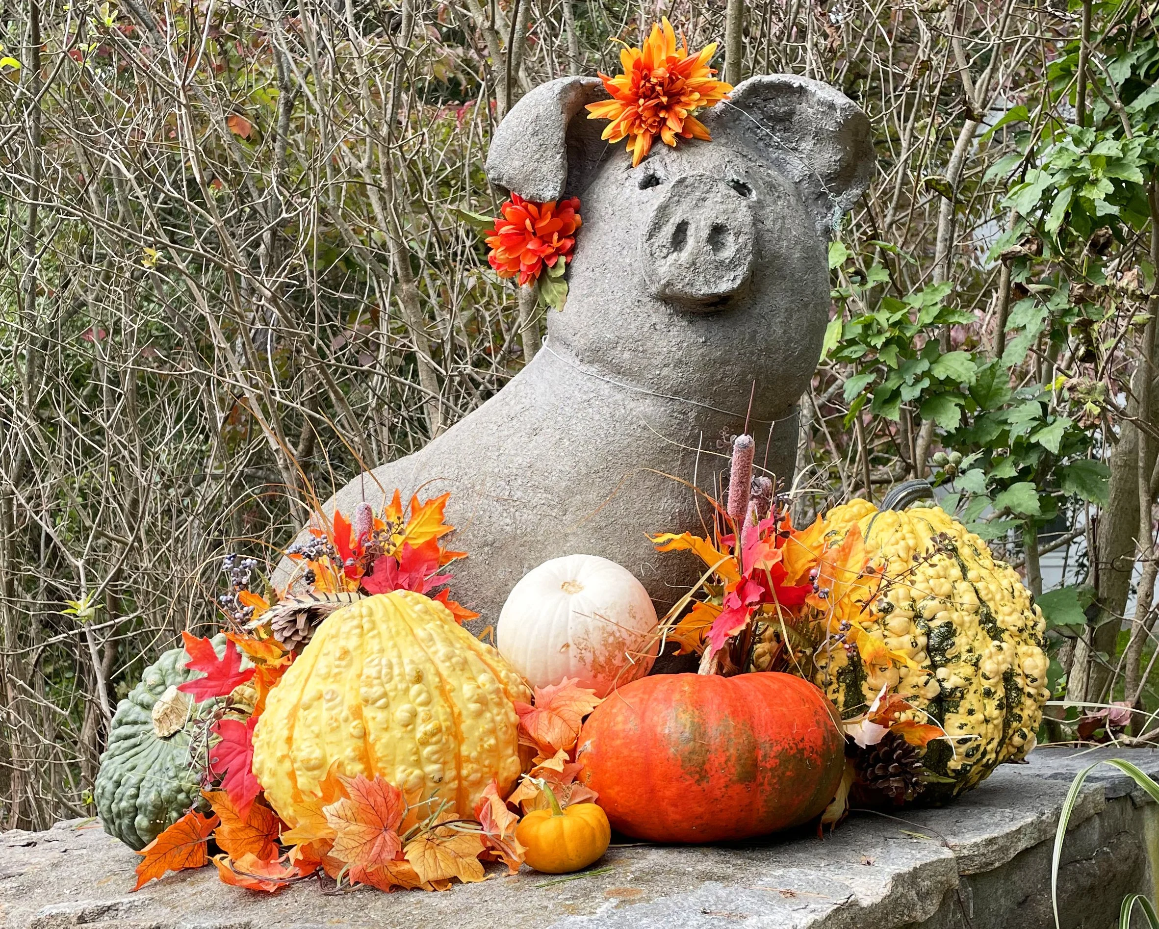 pumkins.jpg